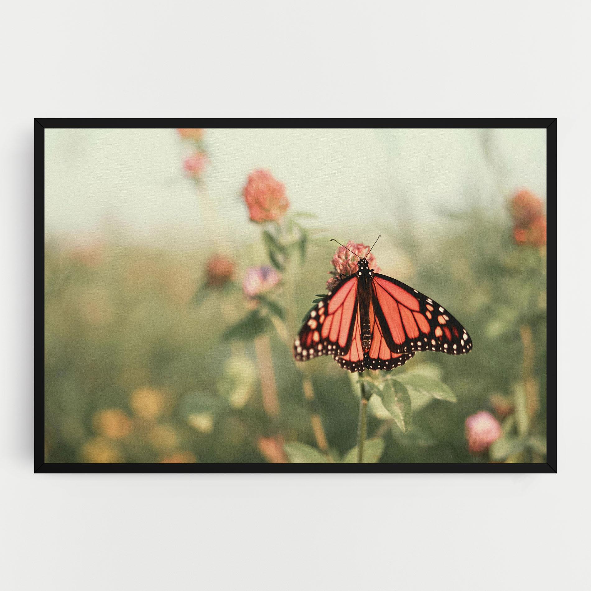 Leinwandbild Light Red Butterfly mockup 0