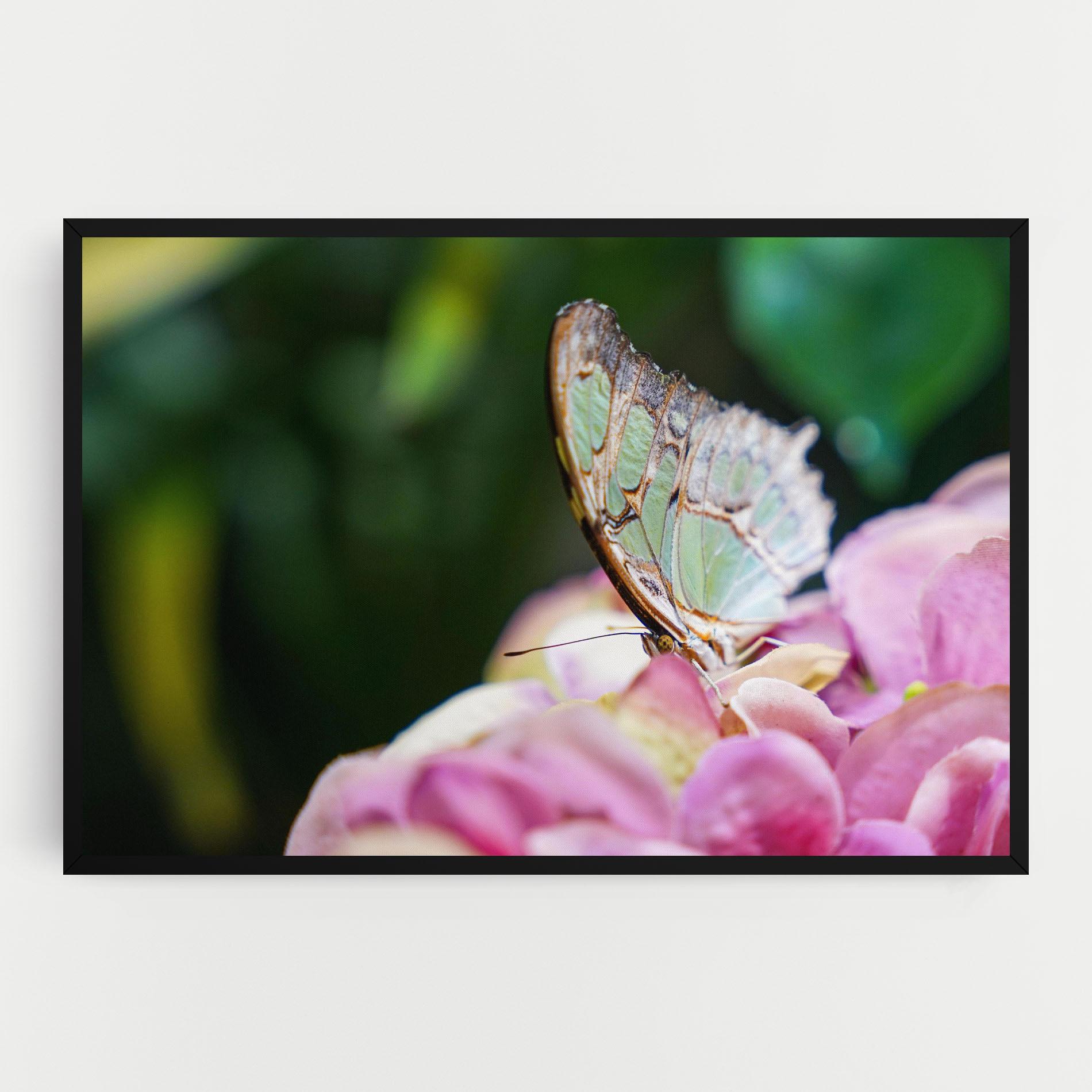 Leinwandbild Nazrin Babashova DiUUmQMFWys Unsplash mockup 0