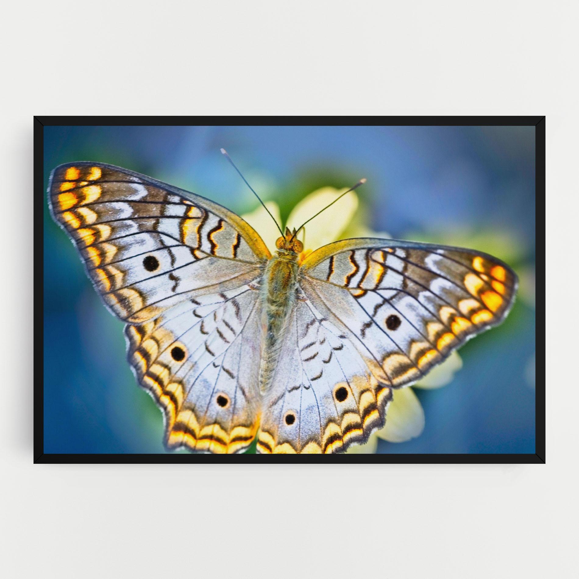 Leinwandbild Yellow Grey Butterfly mockup 0