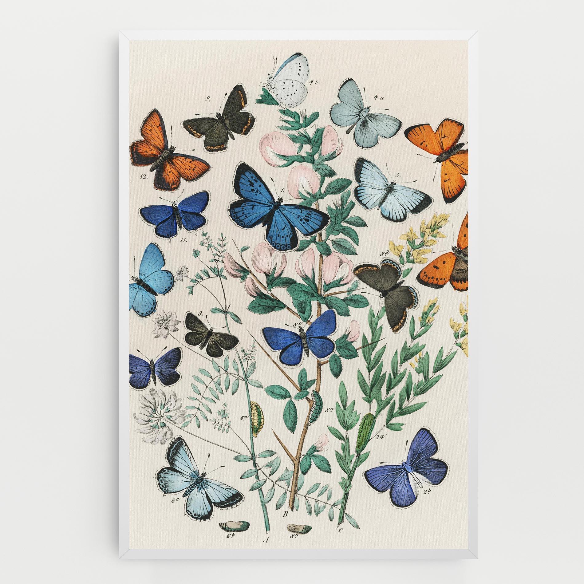 Leinwandbild Blue Orange Butterflies mockup 0