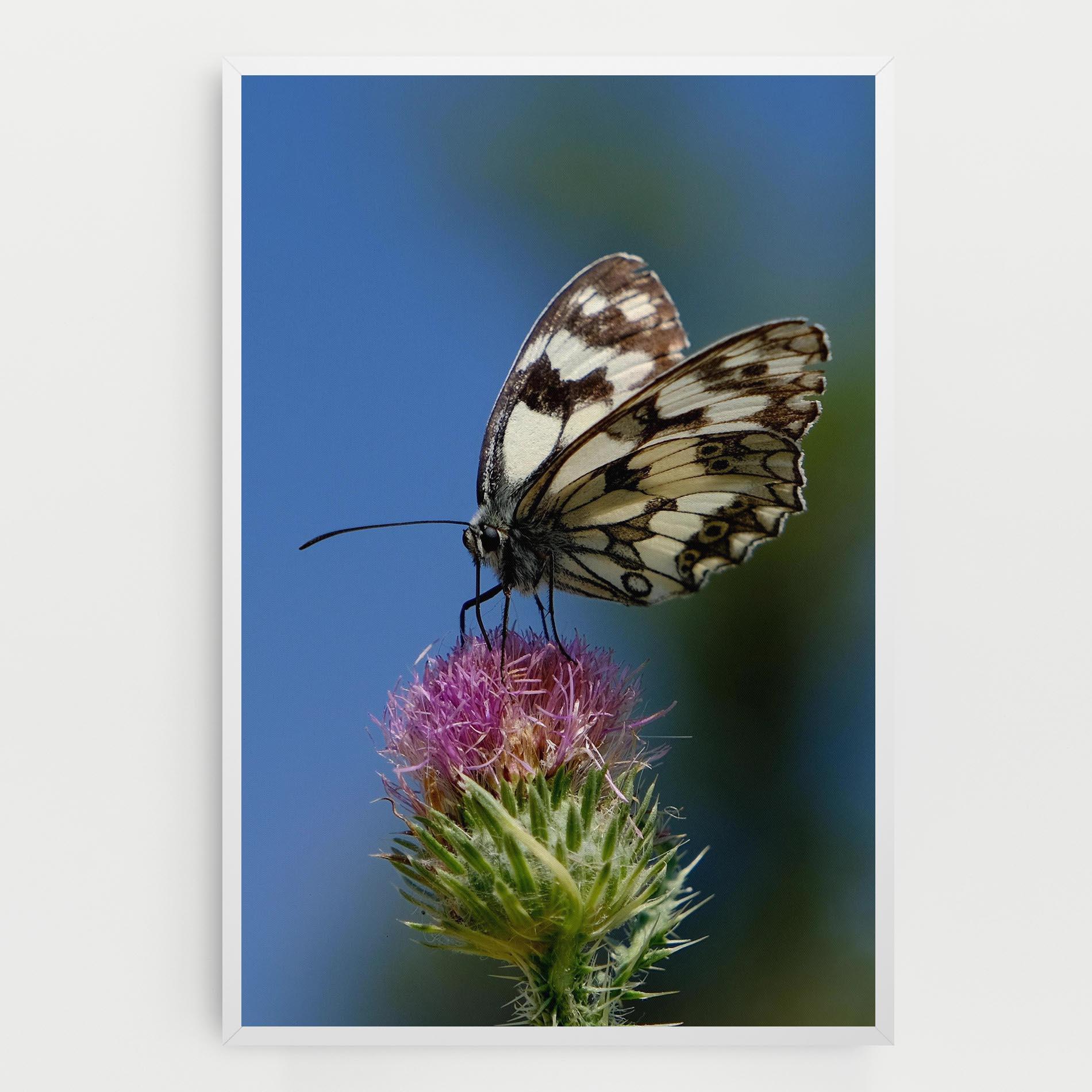 Leinwandbild Grey White Butterfly mockup 0