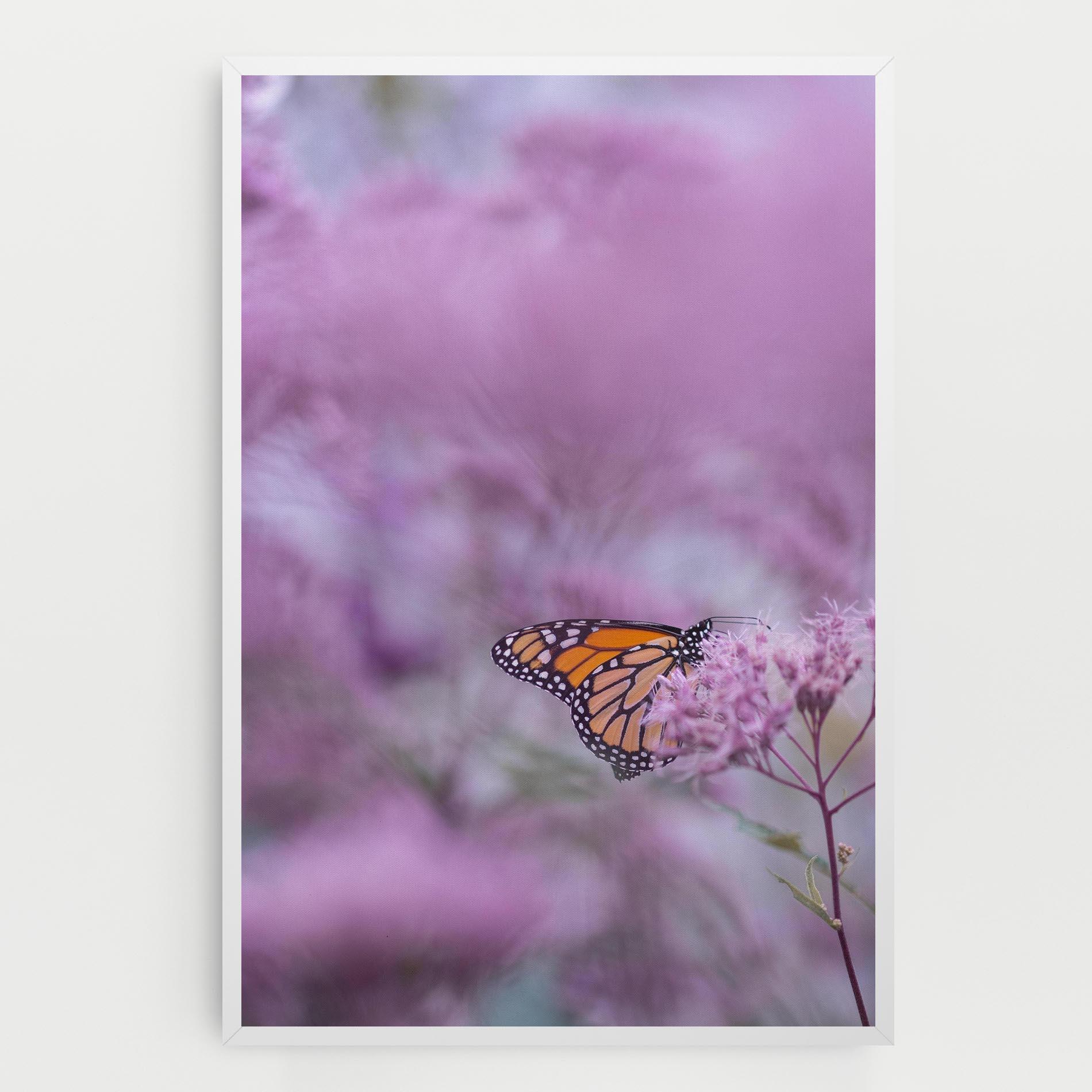 Leinwandbild Purple Flower Butterfly mockup 0