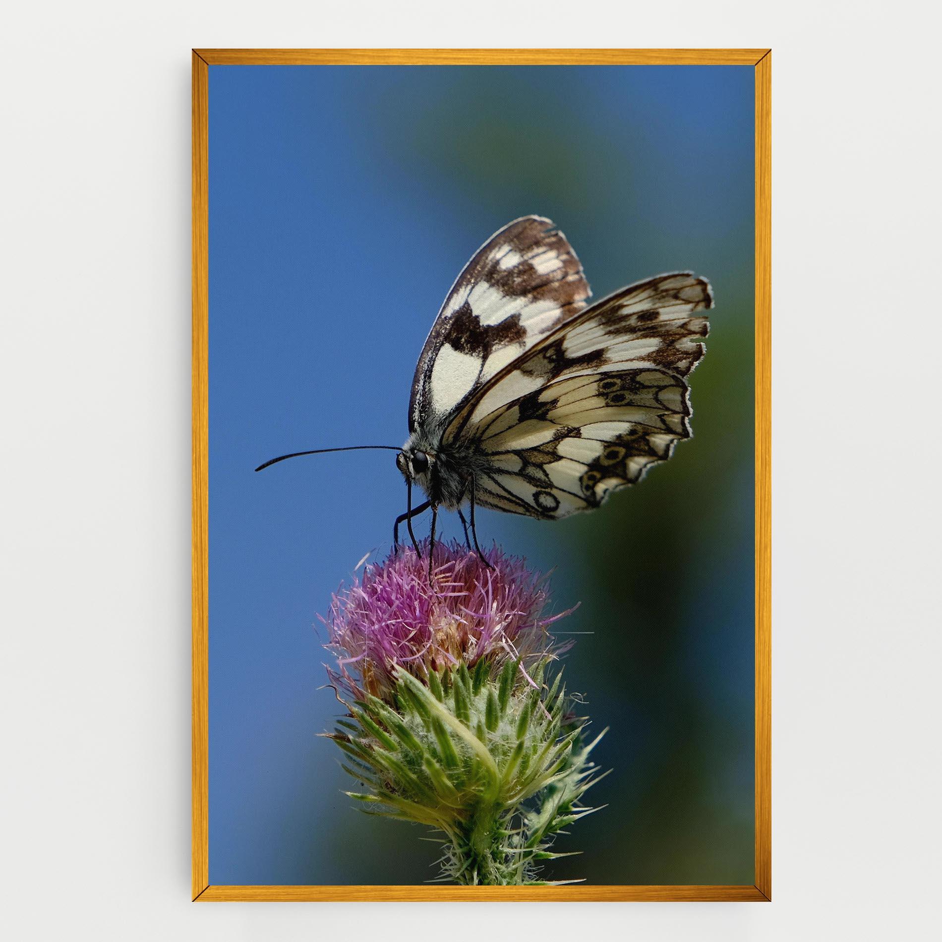 Leinwandbild Grey White Butterfly mockup 0