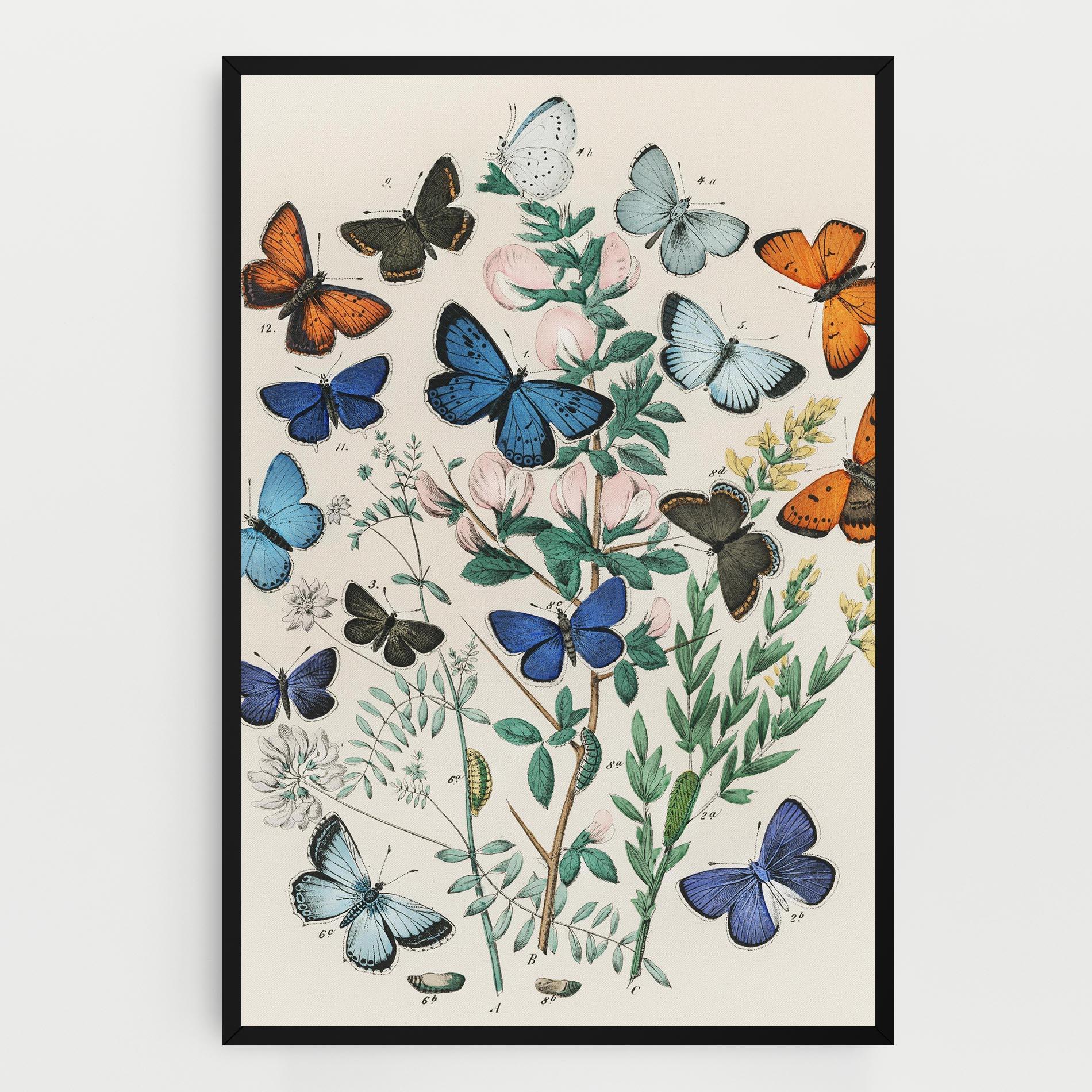 Leinwandbild Blue Orange Butterflies mockup 0