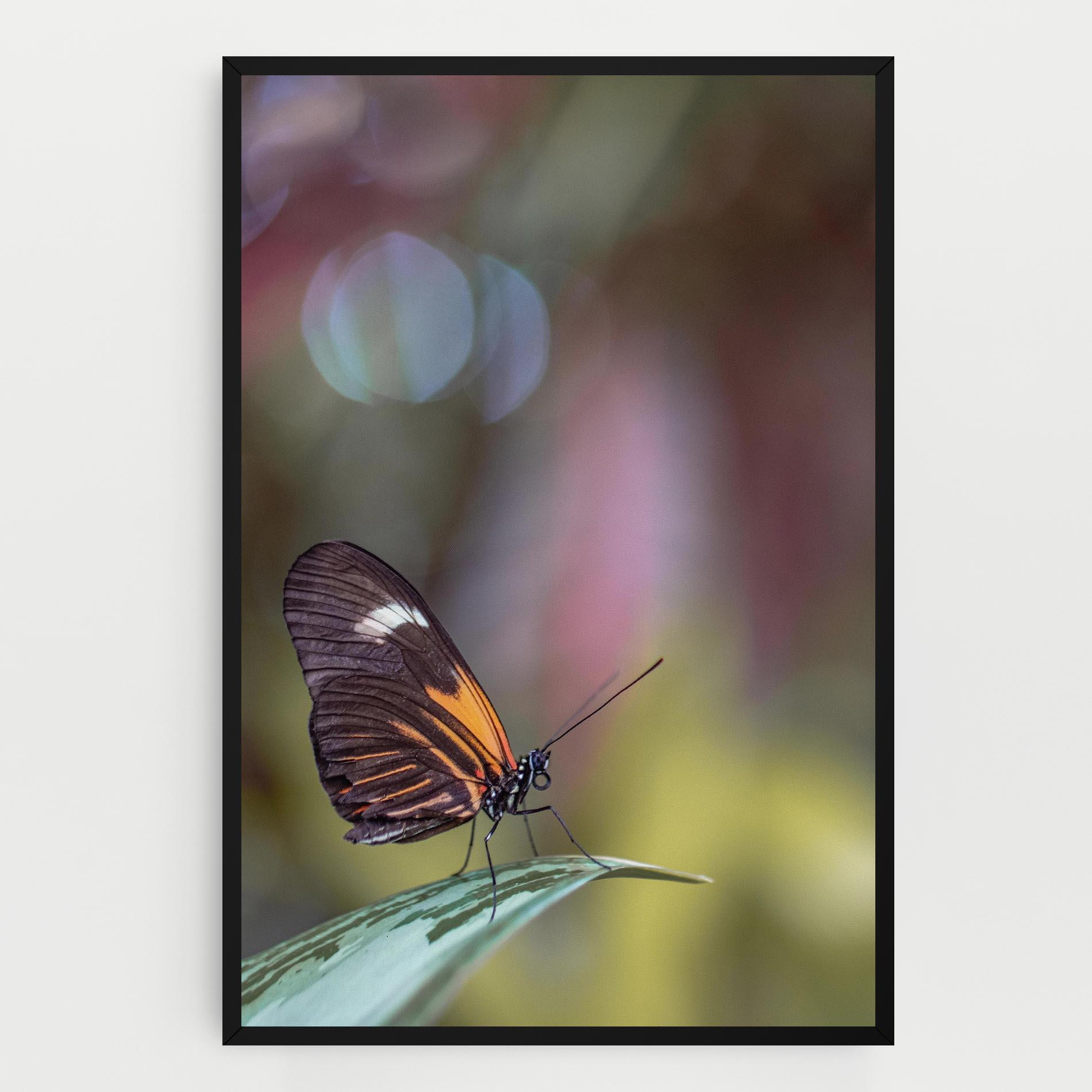 Leinwandbild Dark Purple Butterfly mockup 0