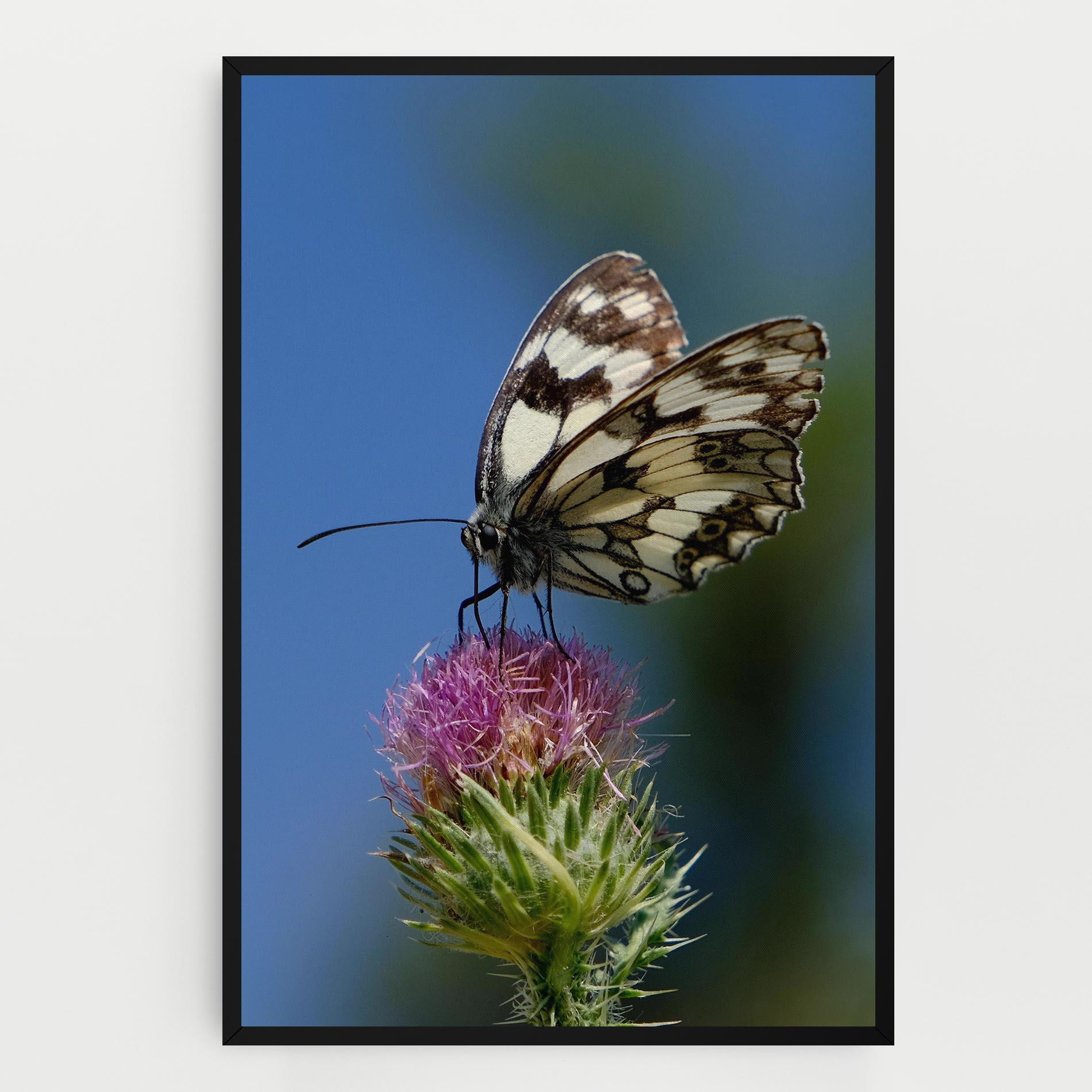 Leinwandbild Grey White Butterfly mockup 0