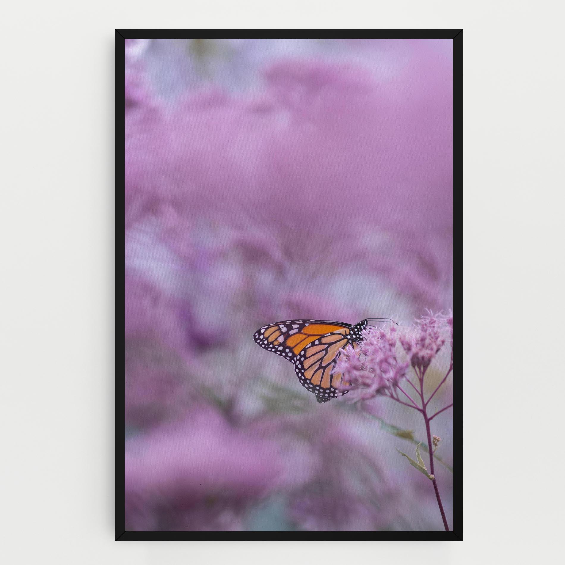 Leinwandbild Purple Flower Butterfly mockup 0