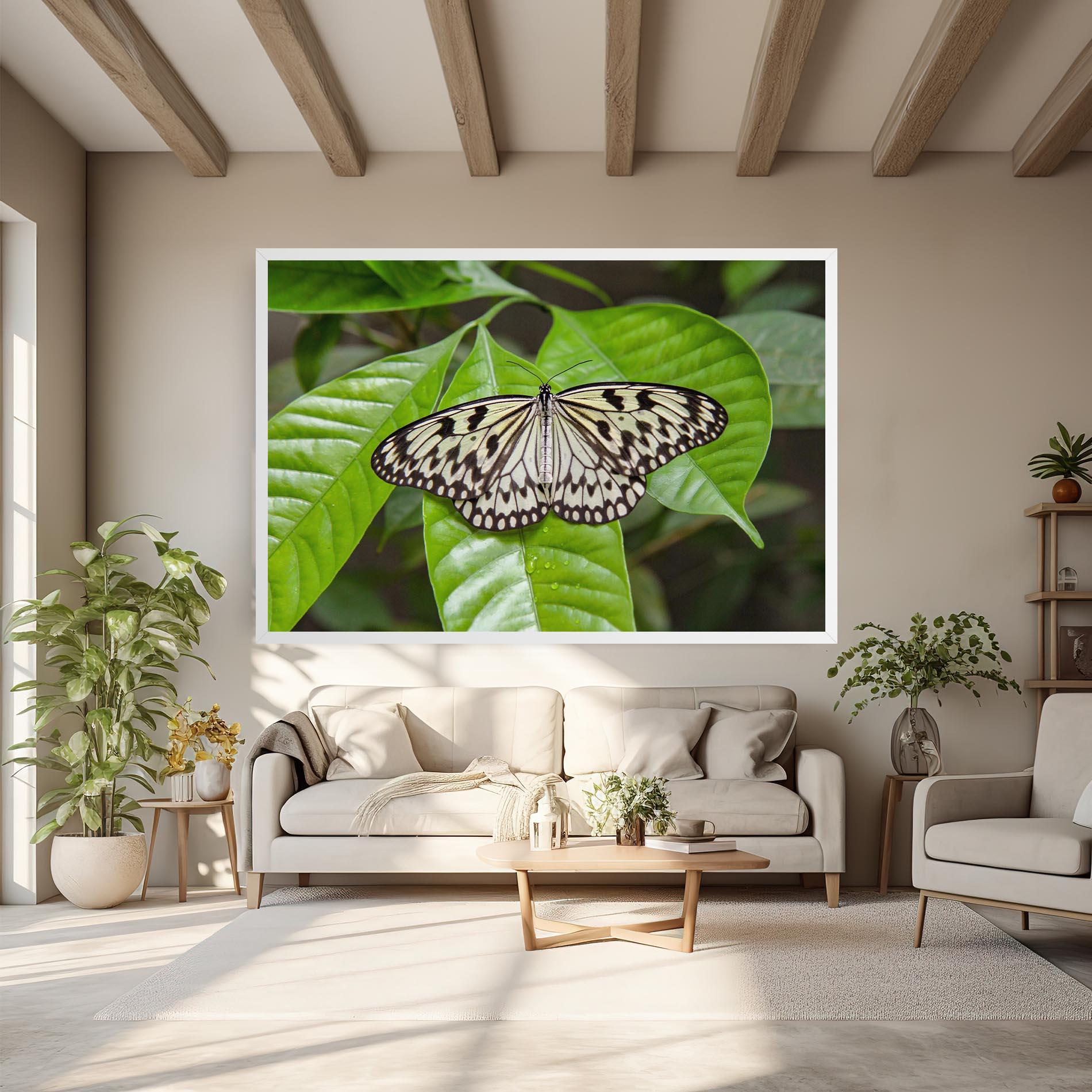 Leinwandbild Beautiful White Butterfly mockup 6