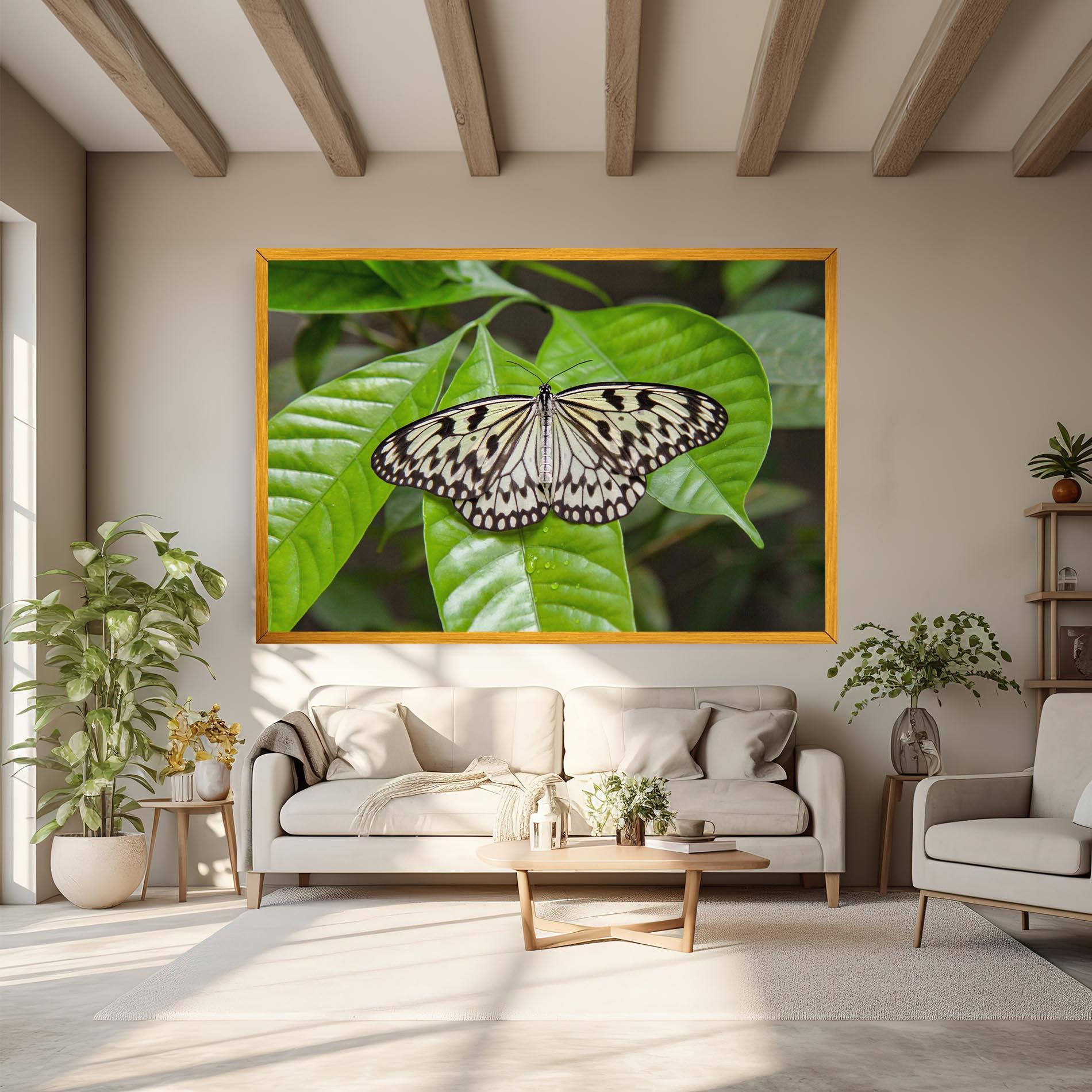 Leinwandbild Beautiful White Butterfly mockup 6