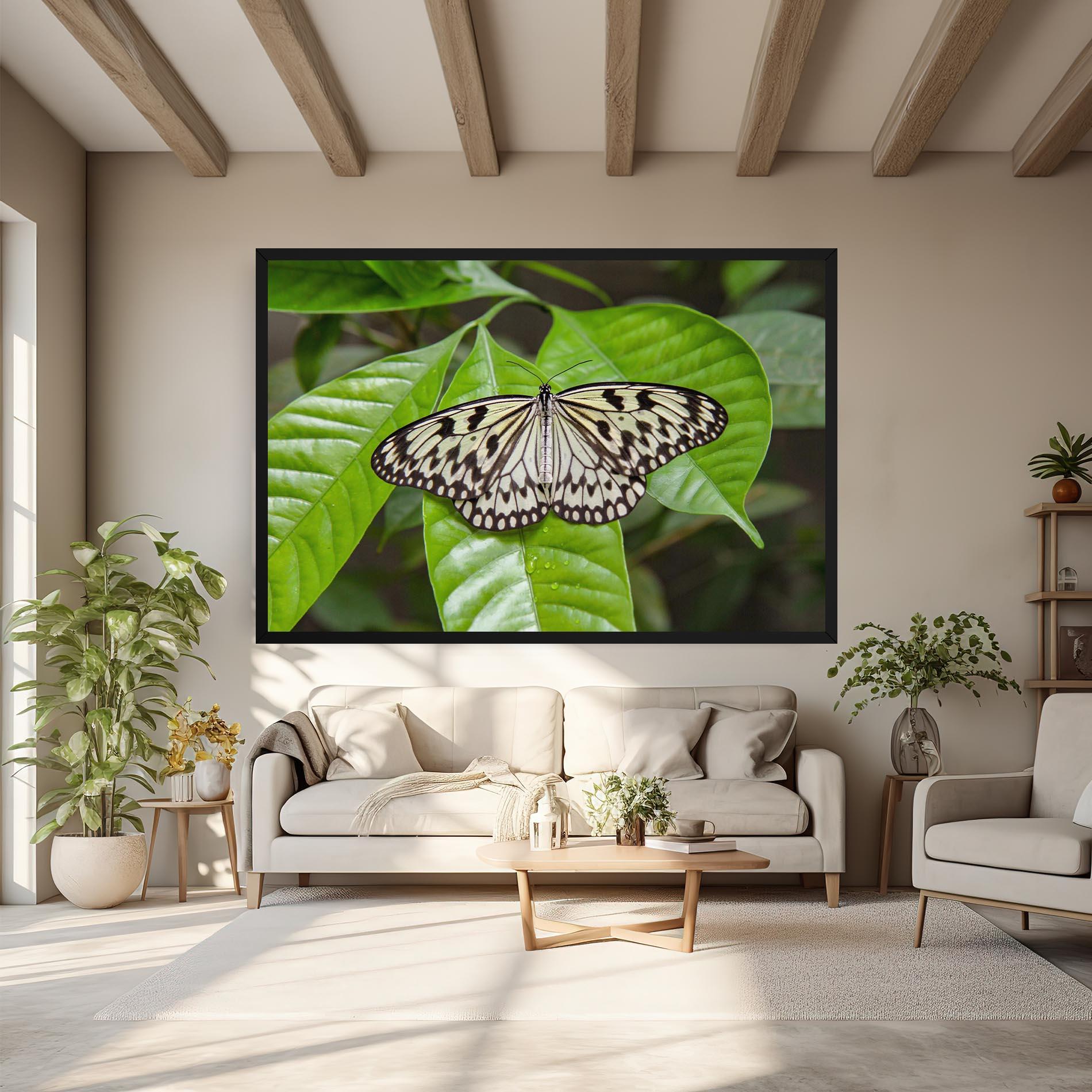 Leinwandbild Beautiful White Butterfly mockup 6