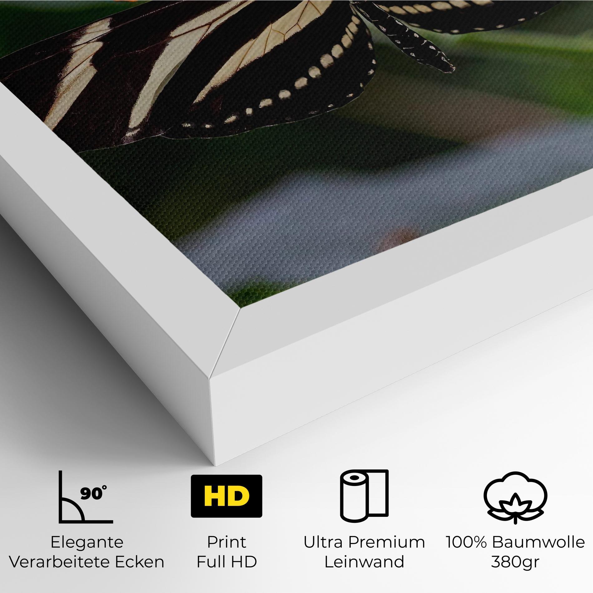 Leinwandbild Big Wings Butterfly mockup 4