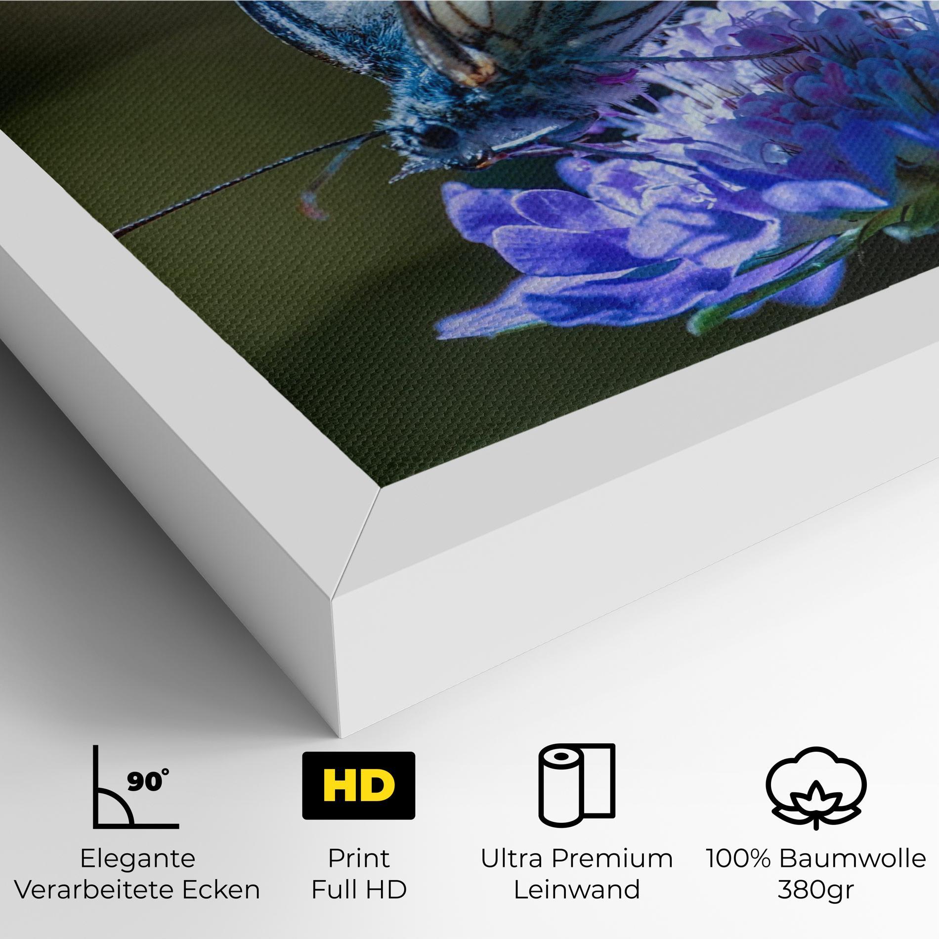 Leinwandbild Blue Butterfly In Nature mockup 4
