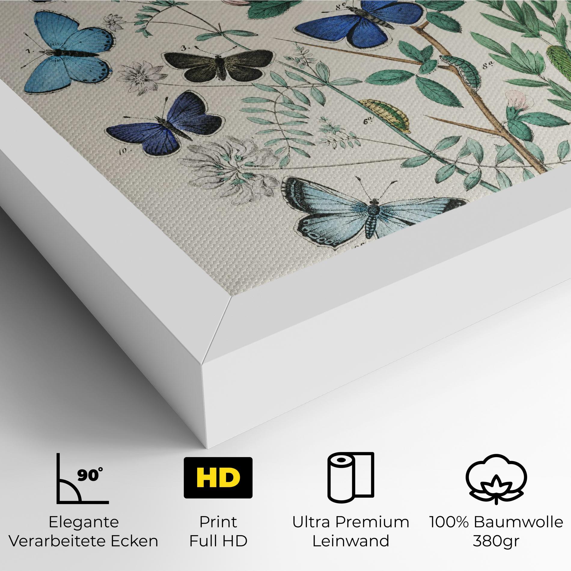 Leinwandbild Blue Orange Butterflies mockup 4