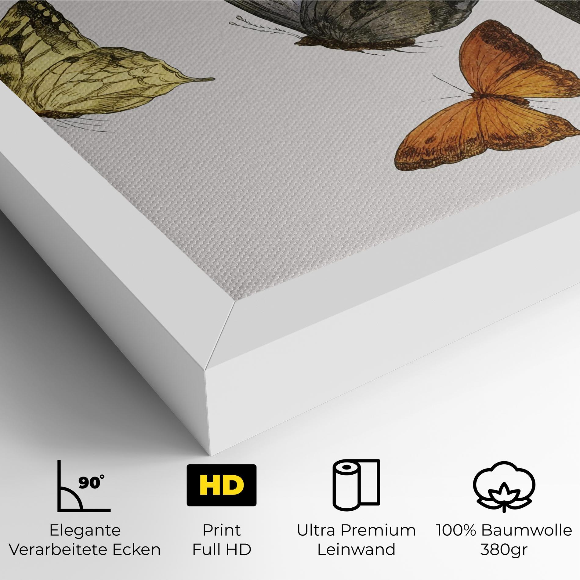 Leinwandbild Butterfly Floating mockup 4