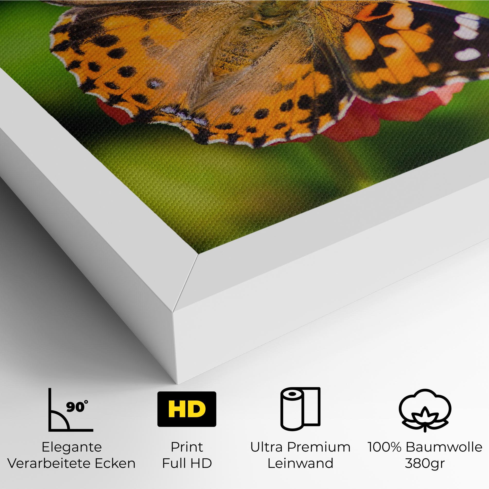 Leinwandbild Butterfly On Flower mockup 4
