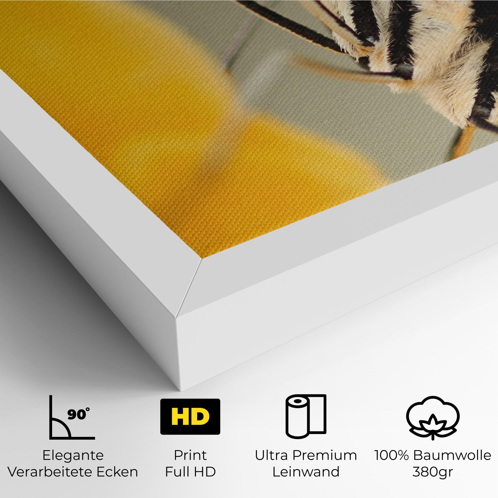 Leinwandbild Close Up Cream Butterfly mockup 4