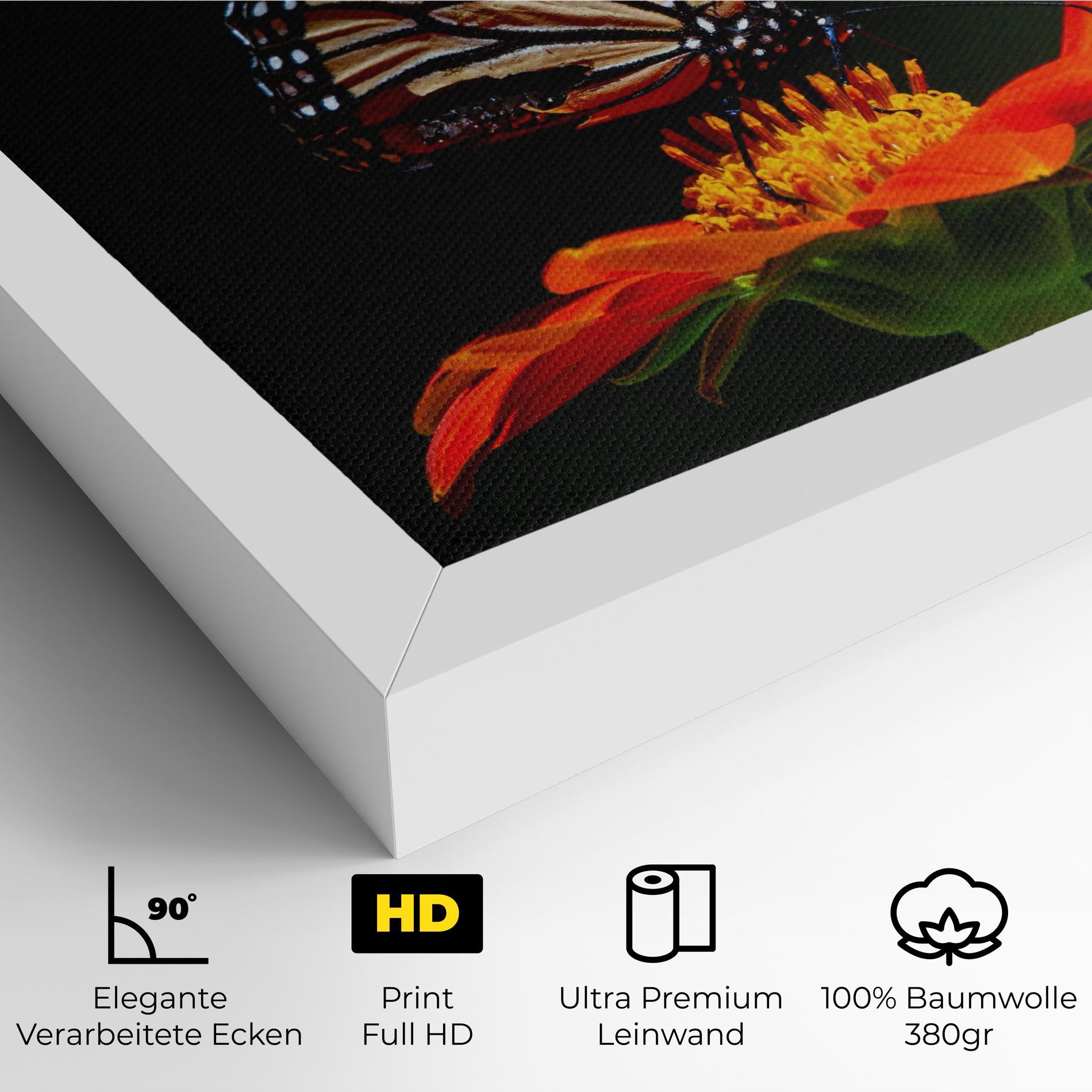 Leinwandbild Dark Orange Butterfy mockup 4