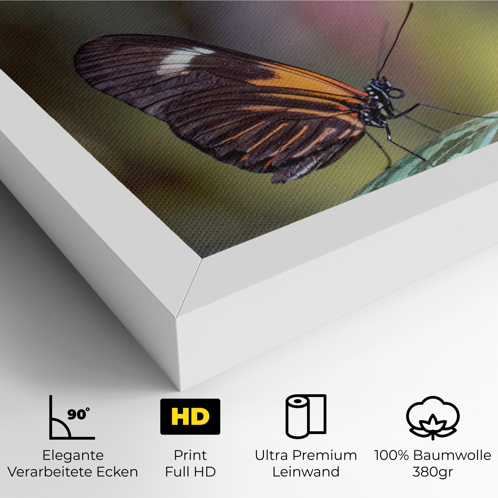Leinwandbild Dark Purple Butterfly mockup 4