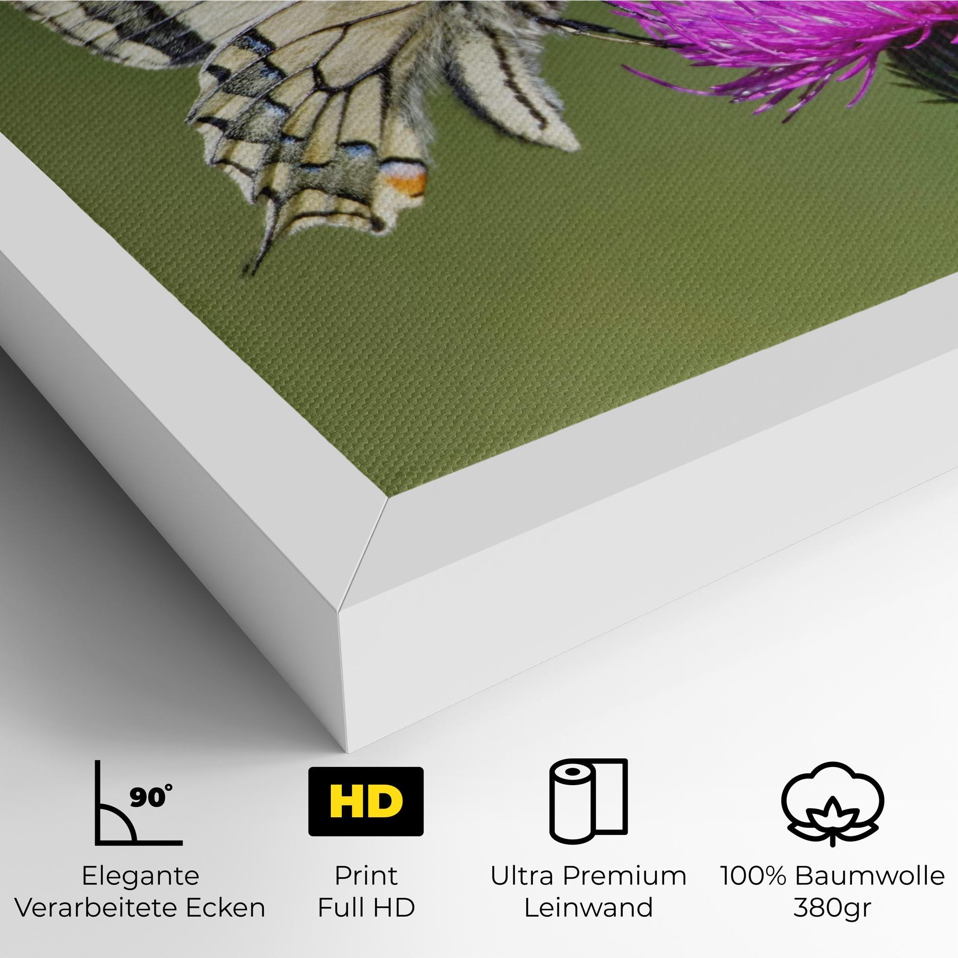 Leinwandbild White Butterfly Pollen mockup 4
