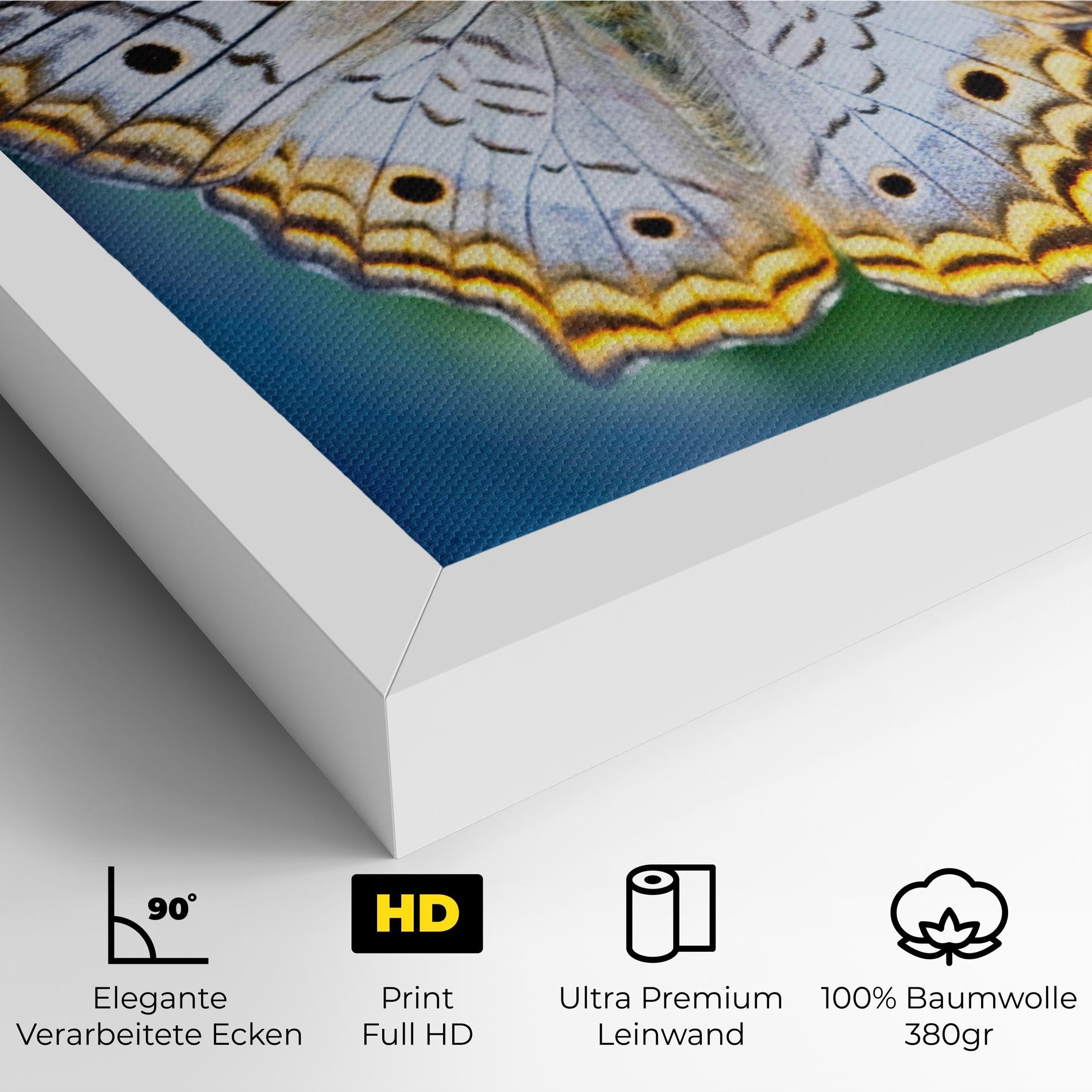 Leinwandbild Yellow Grey Butterfly mockup 4