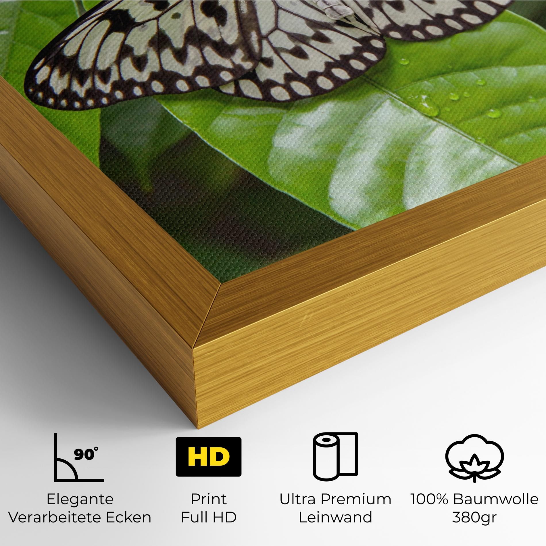 Beautiful White Butterfly mockup 4