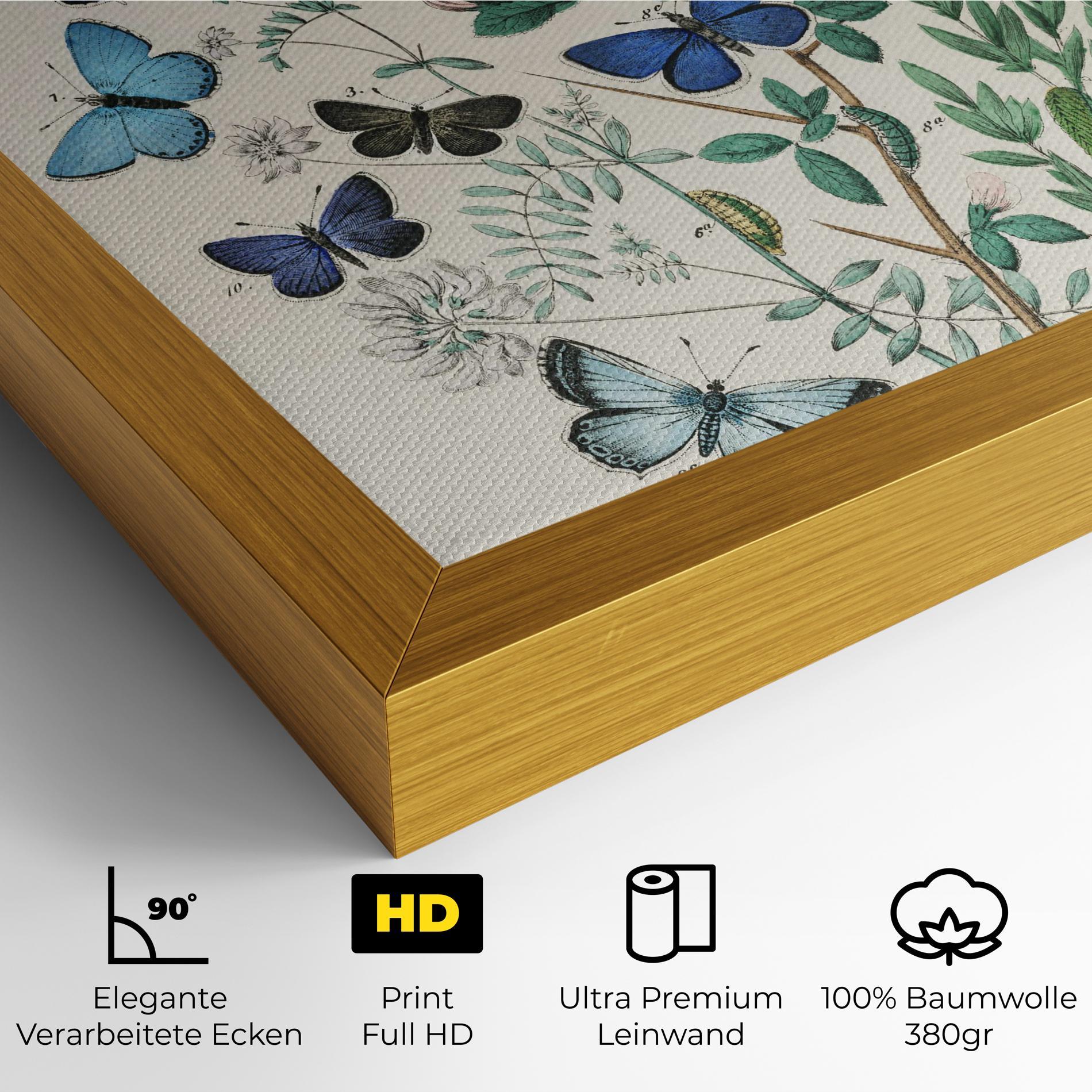 Leinwandbild Blue Orange Butterflies mockup 4