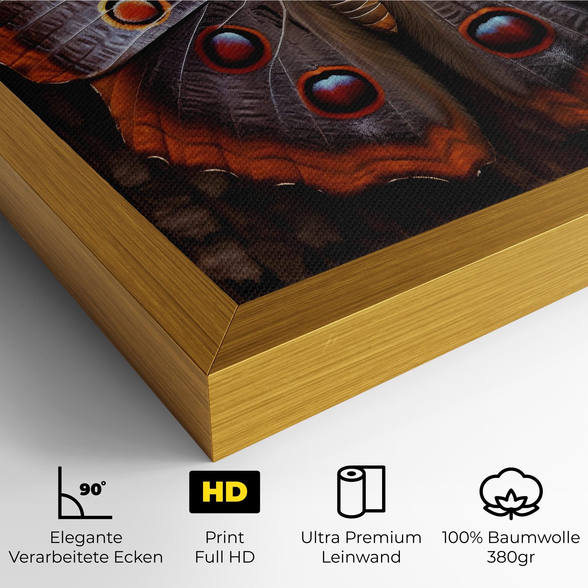 Brown Eyes Butterfly mockup 4