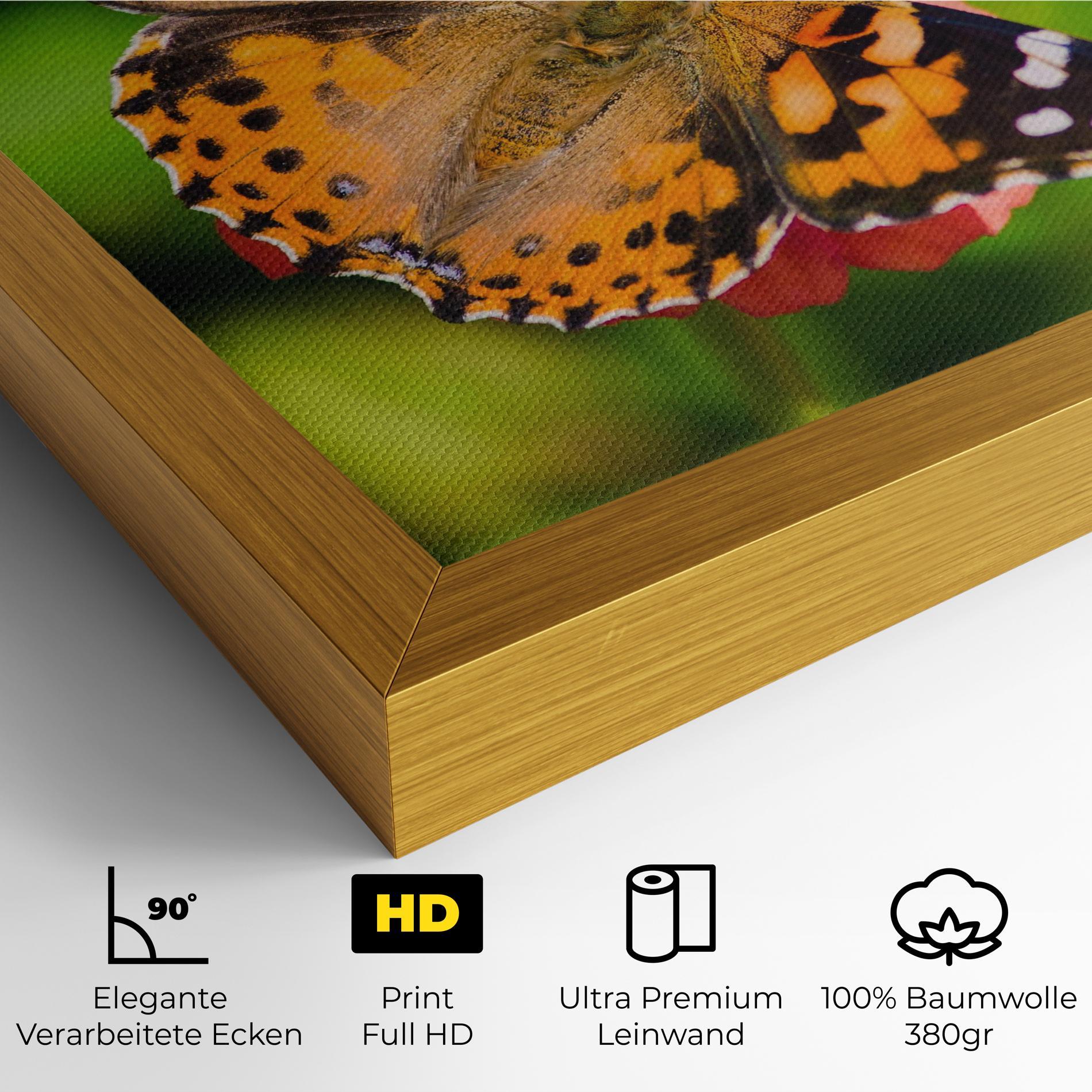 Leinwandbild Butterfly On Flower mockup 4
