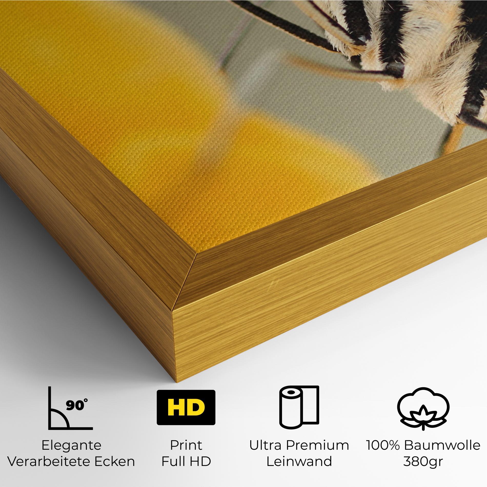 Leinwandbild Close Up Cream Butterfly mockup 4