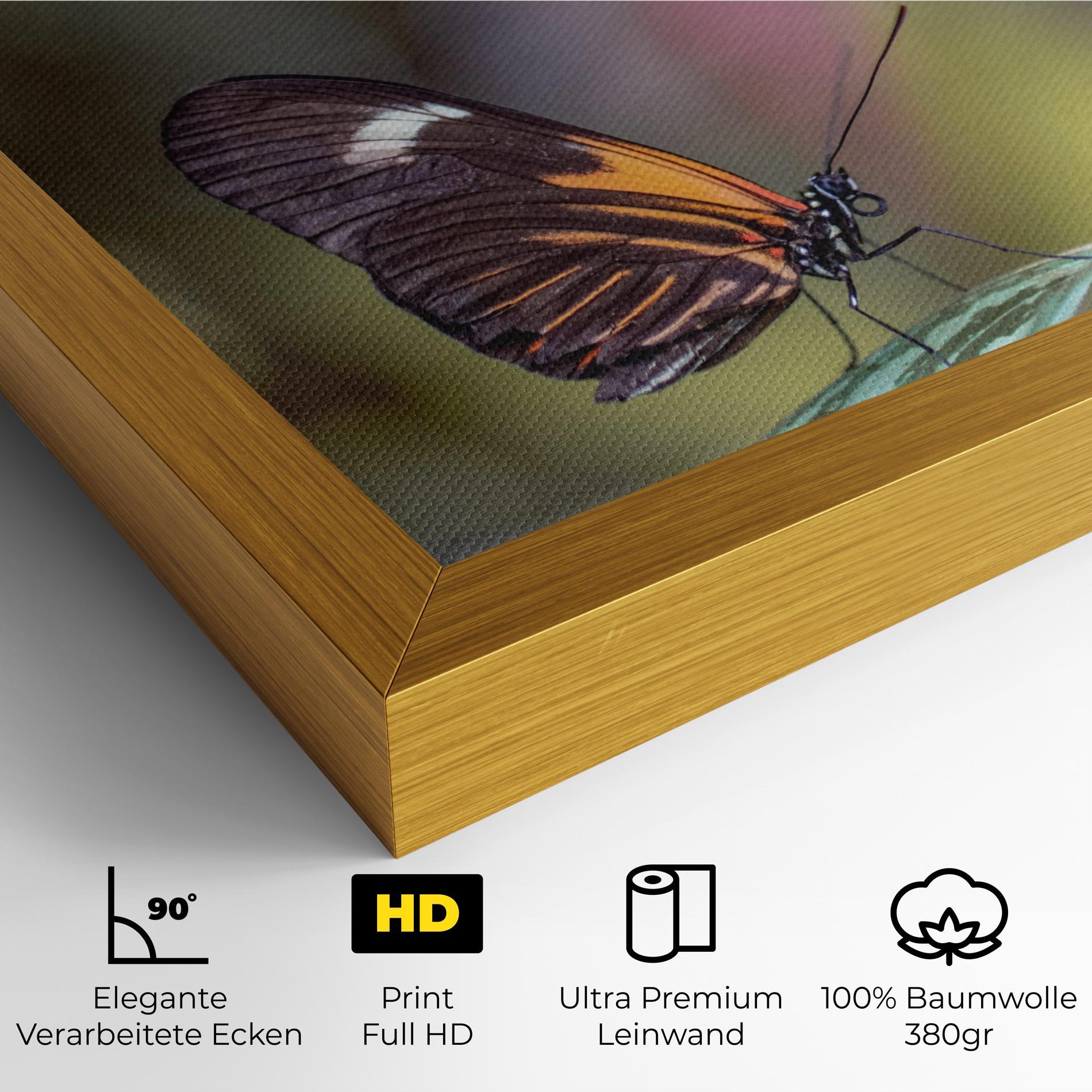 Leinwandbild Dark Purple Butterfly mockup 4