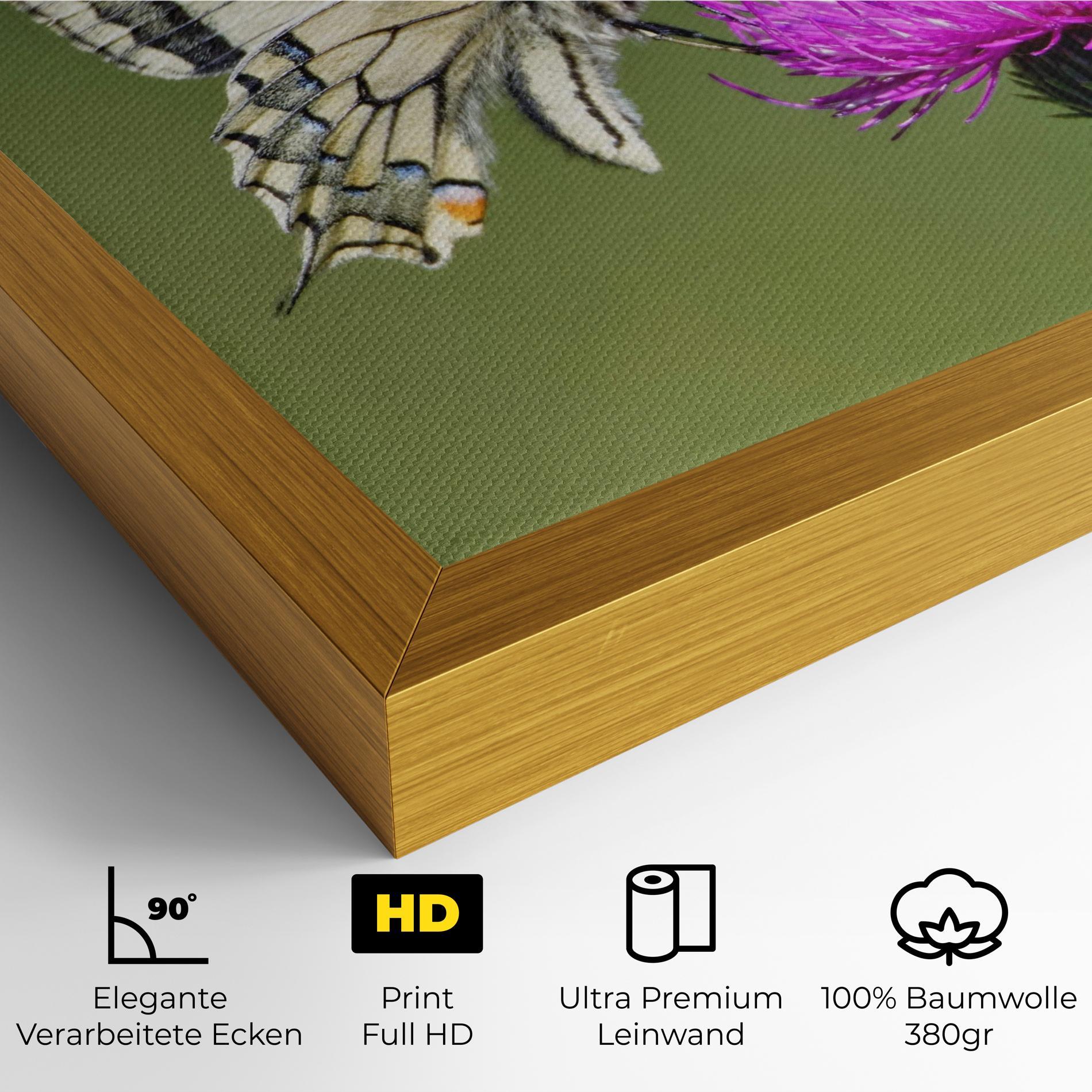 Leinwandbild White Butterfly Pollen mockup 4