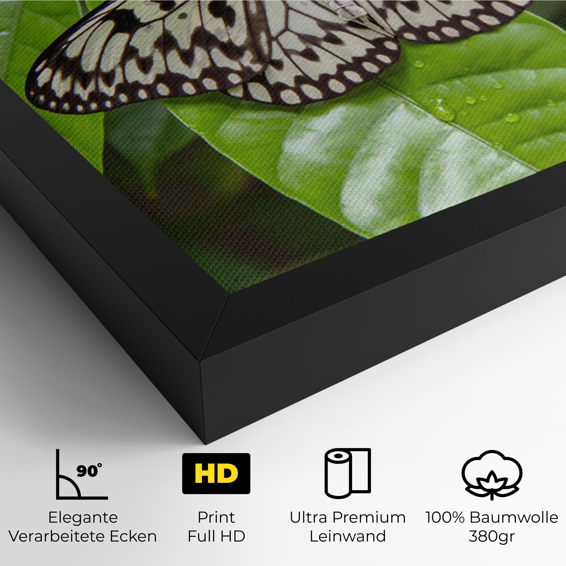Beautiful White Butterfly mockup 4
