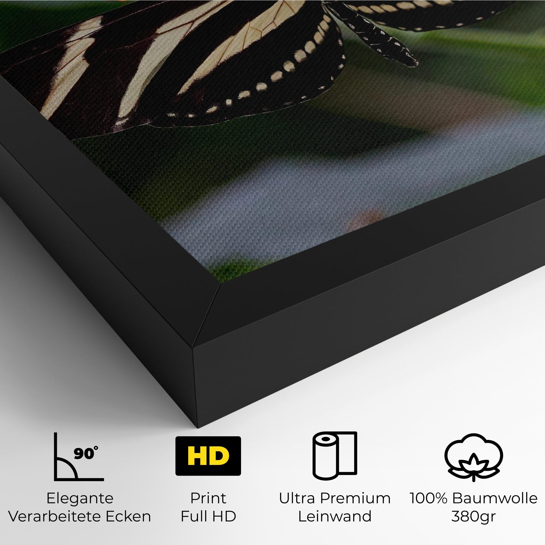 Leinwandbild Big Wings Butterfly mockup 4
