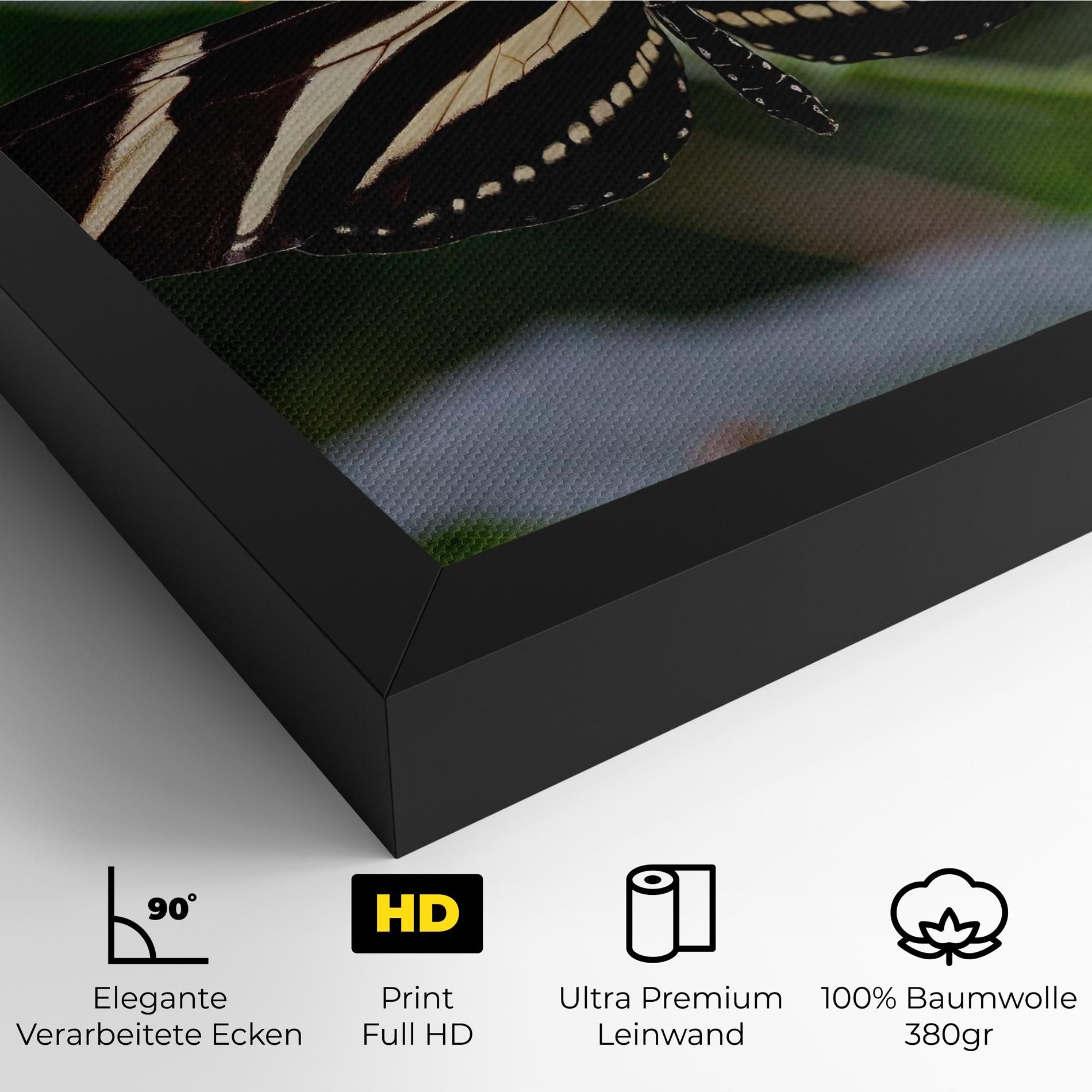 Big Wings Butterfly mockup 4