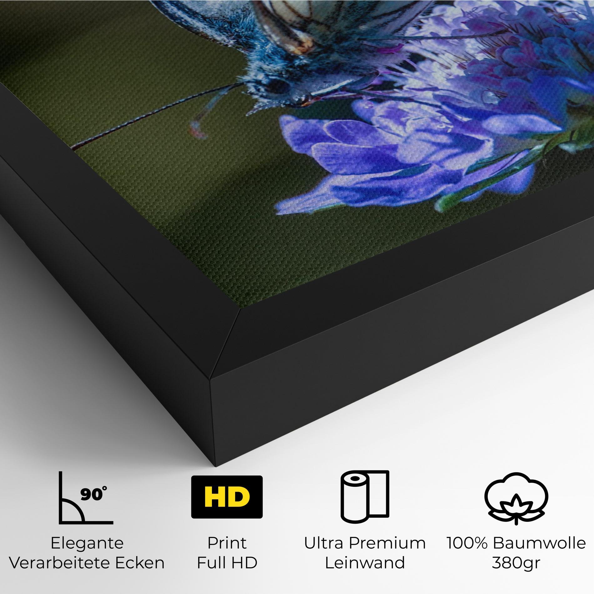 Leinwandbild Blue Butterfly In Nature mockup 4