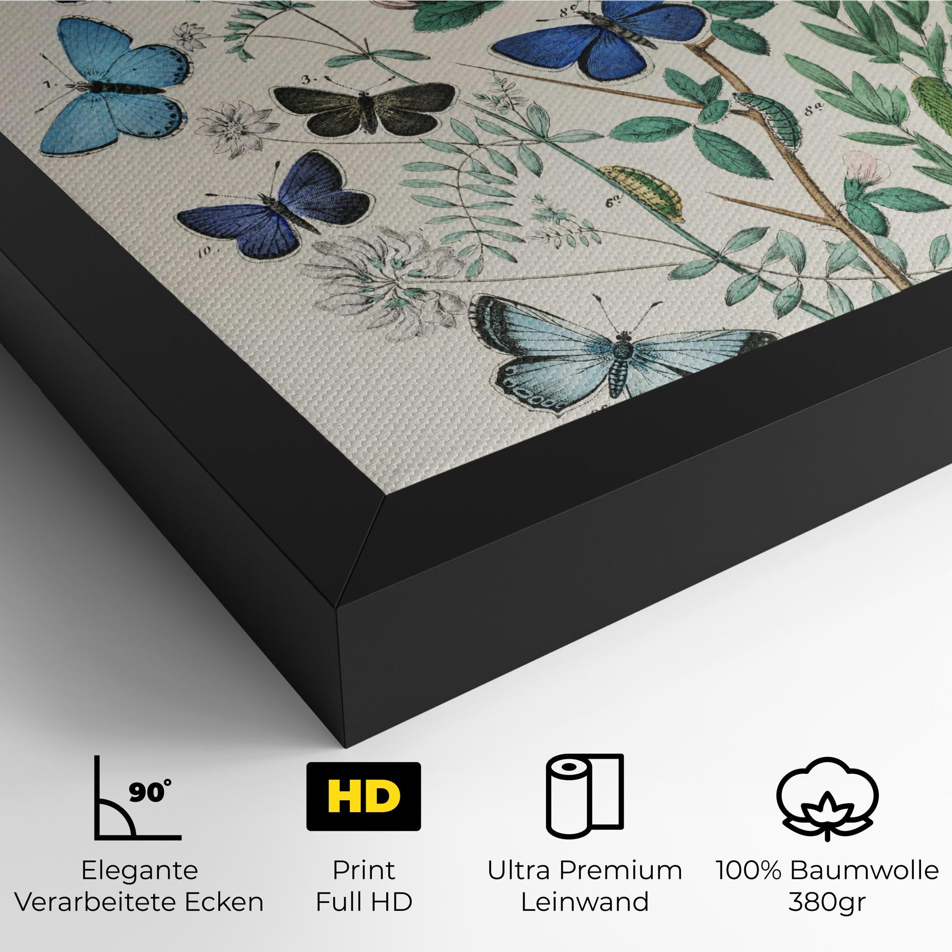 Leinwandbild Blue Orange Butterflies mockup 4