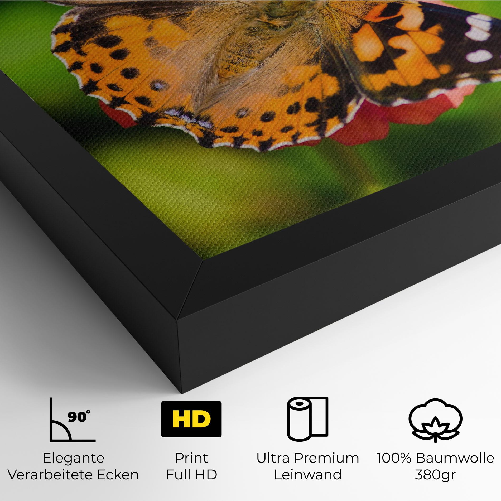 Leinwandbild Butterfly On Flower mockup 4