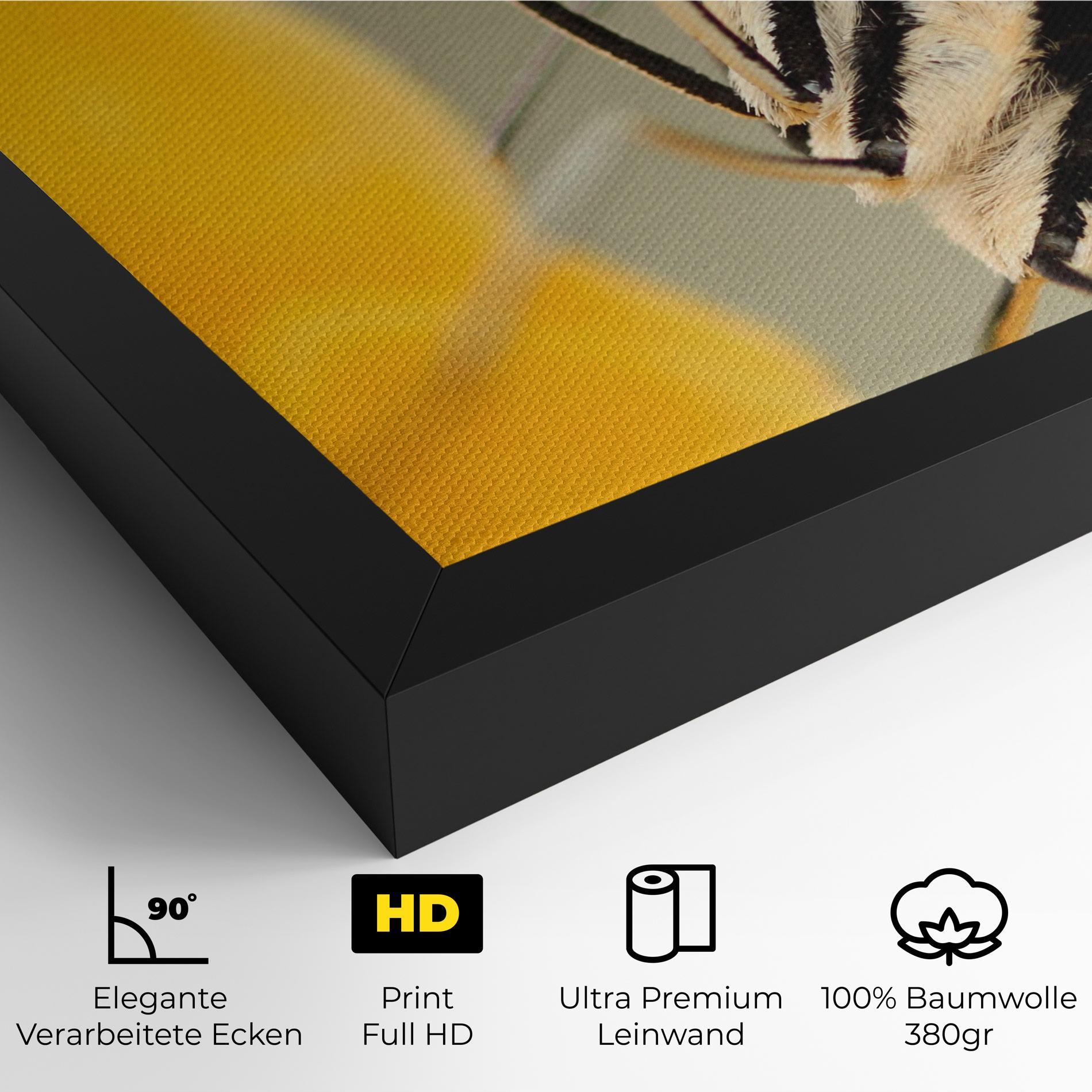 Leinwandbild Close Up Cream Butterfly mockup 4