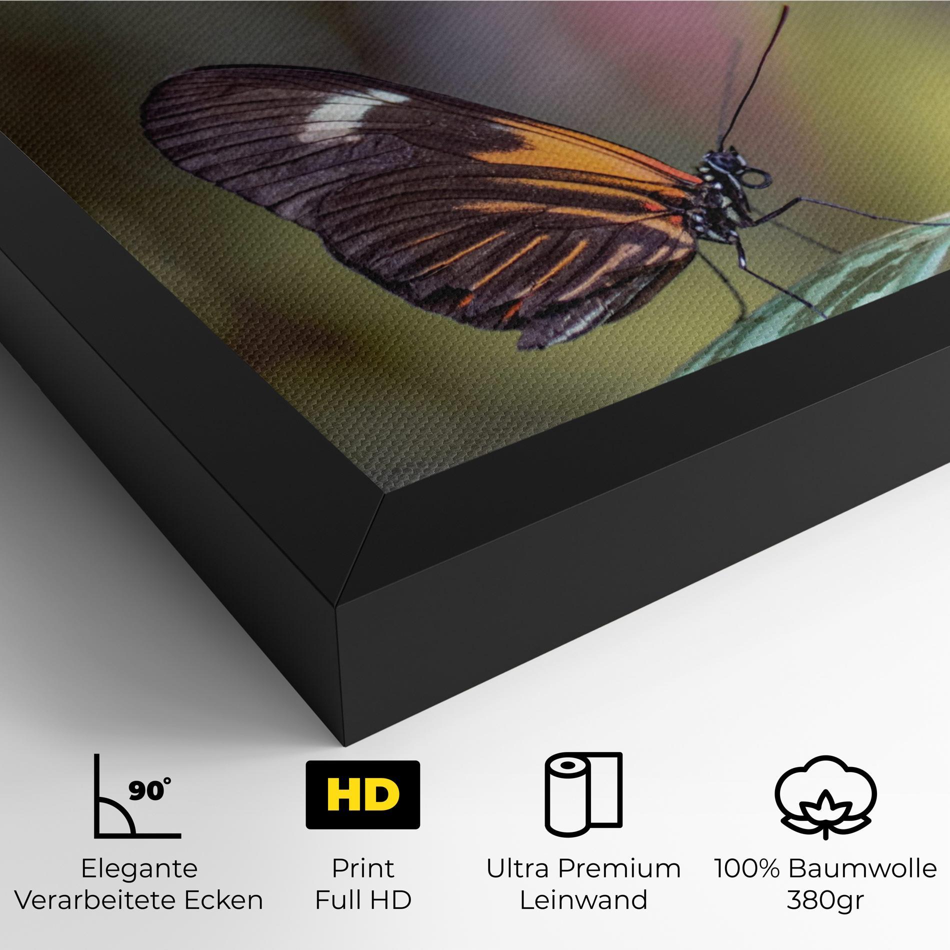 Leinwandbild Dark Purple Butterfly mockup 4