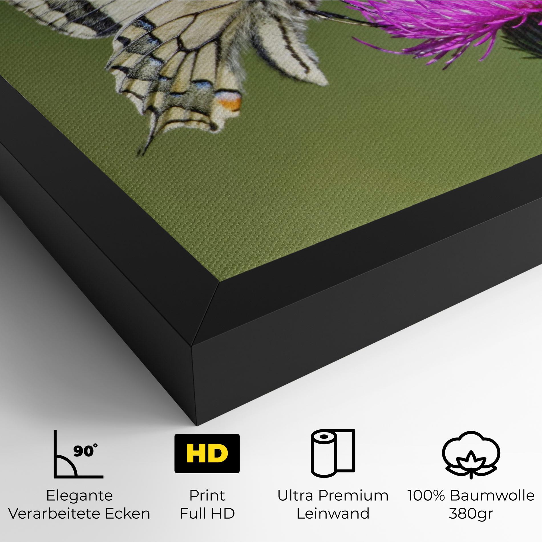 Leinwandbild White Butterfly Pollen mockup 4