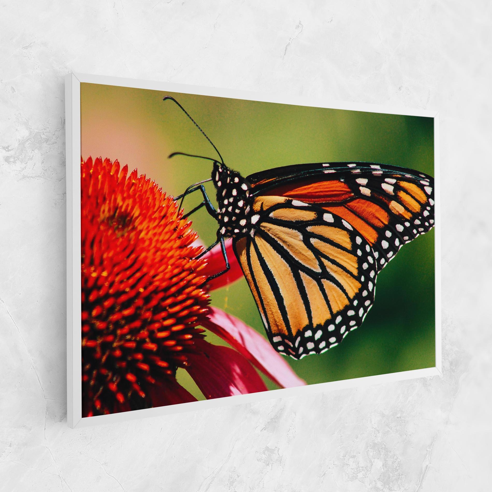 Leinwandbild Big Orange Butterfly mockup 1