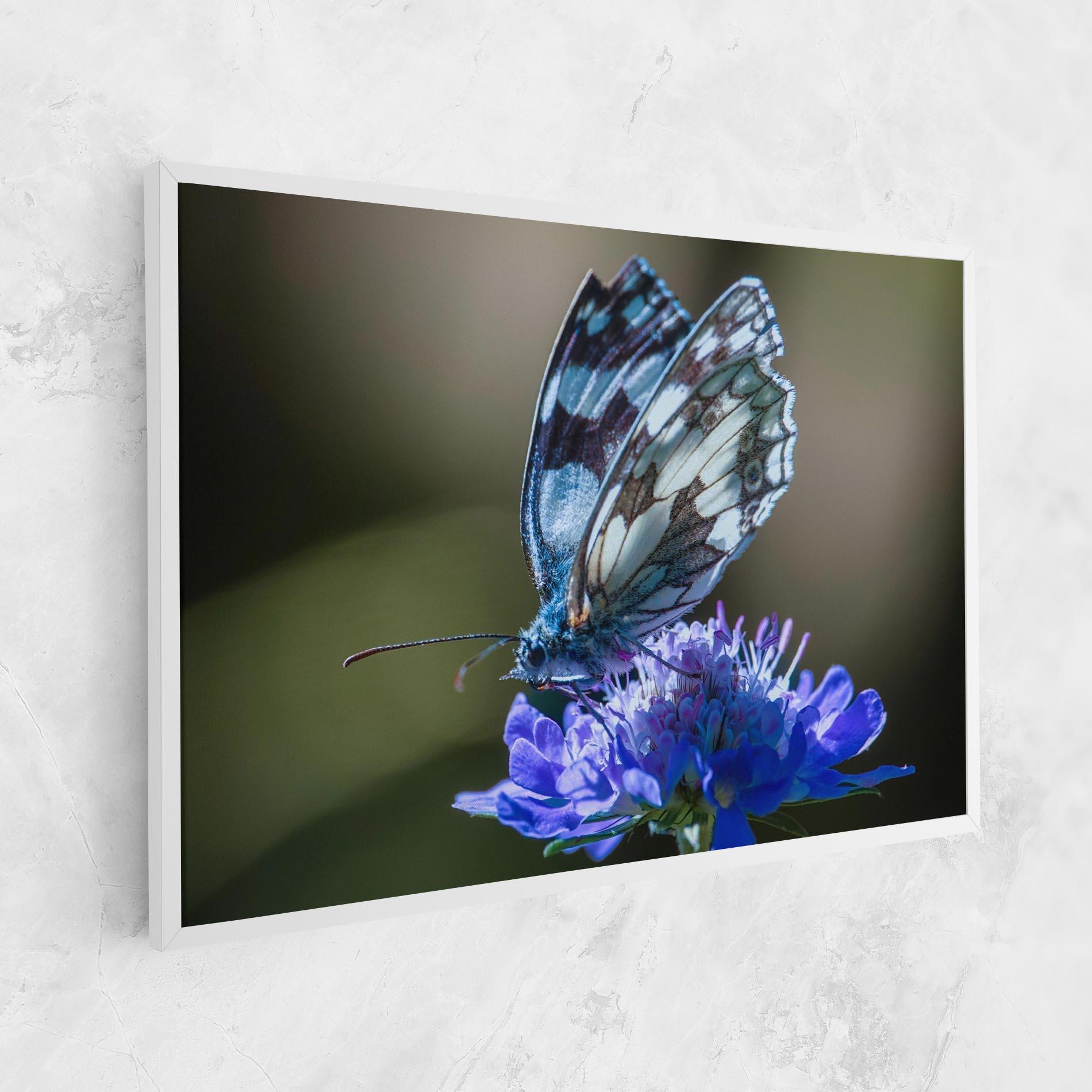Leinwandbild Blue Butterfly In Nature mockup 1