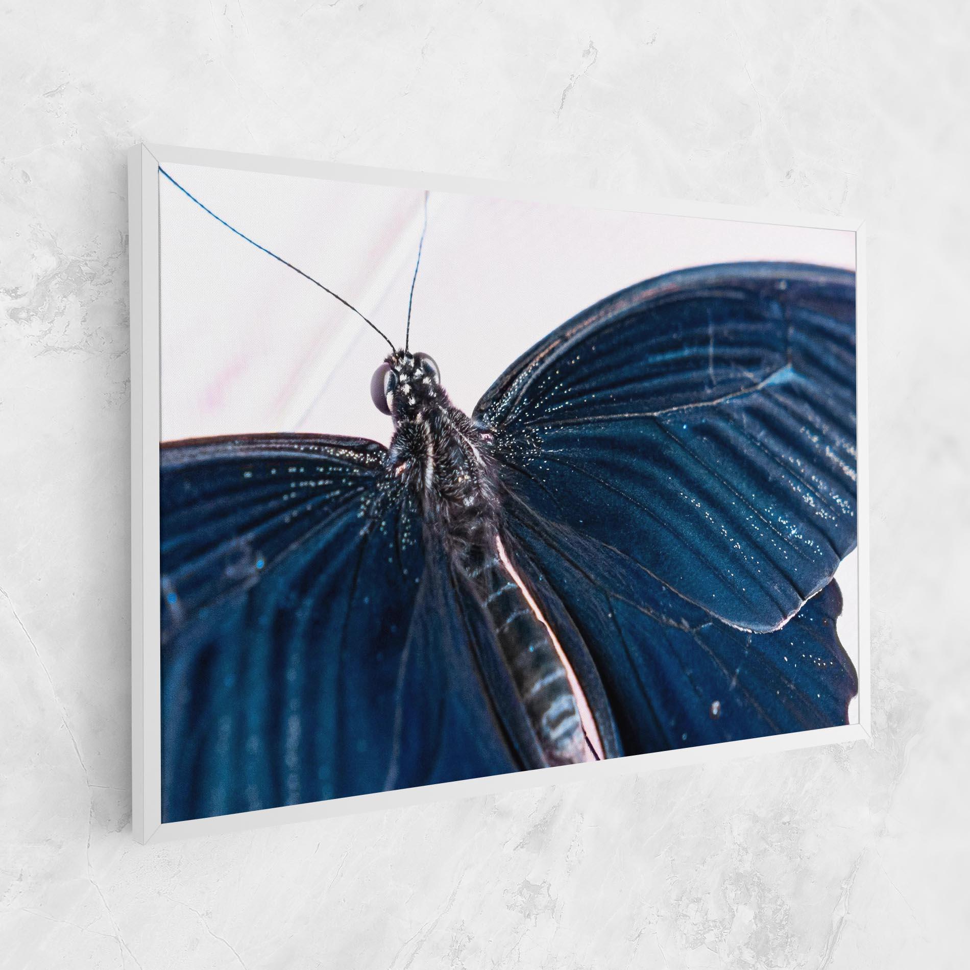Leinwandbild Blue Butterfly mockup 1