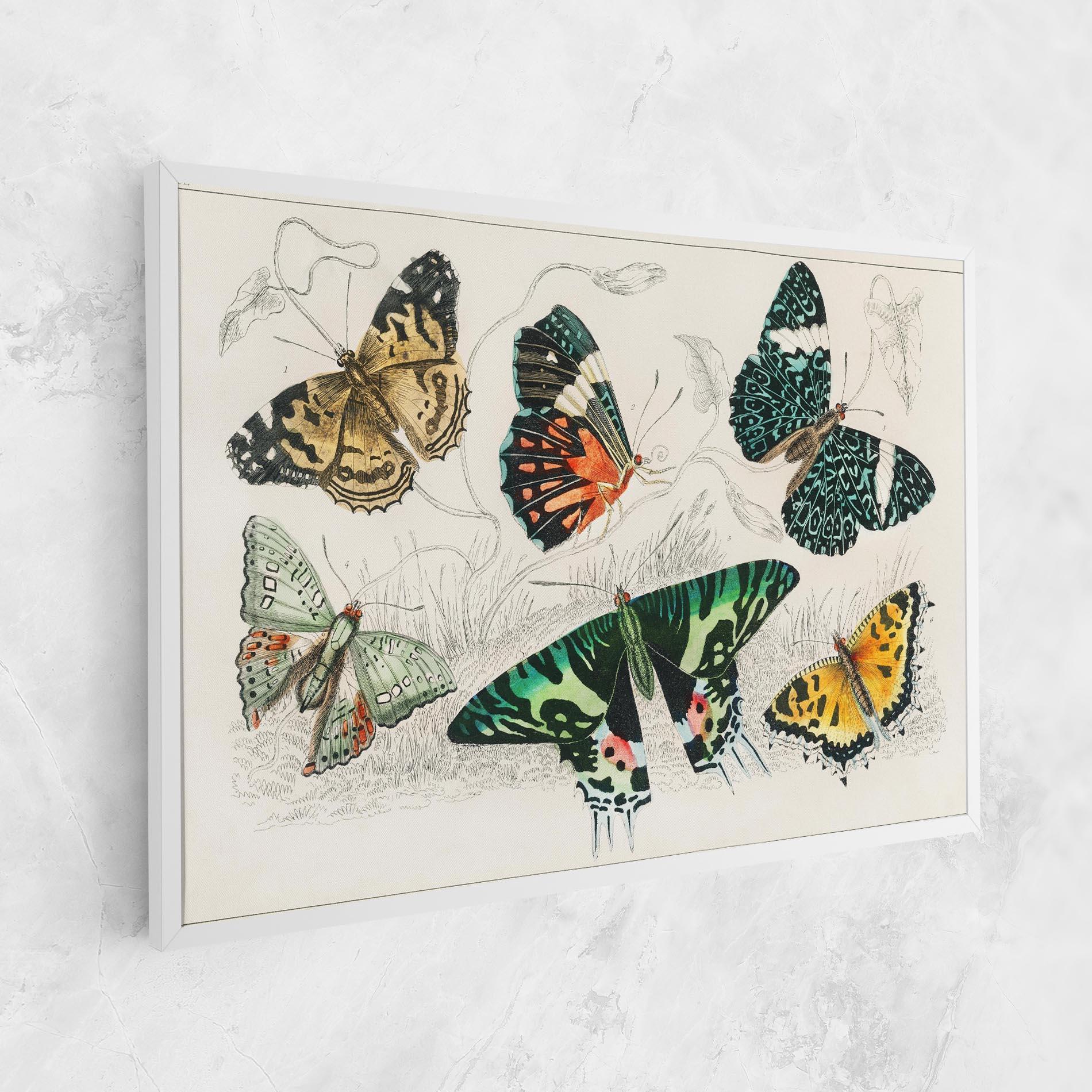 Leinwandbild Butterfly Art mockup 1