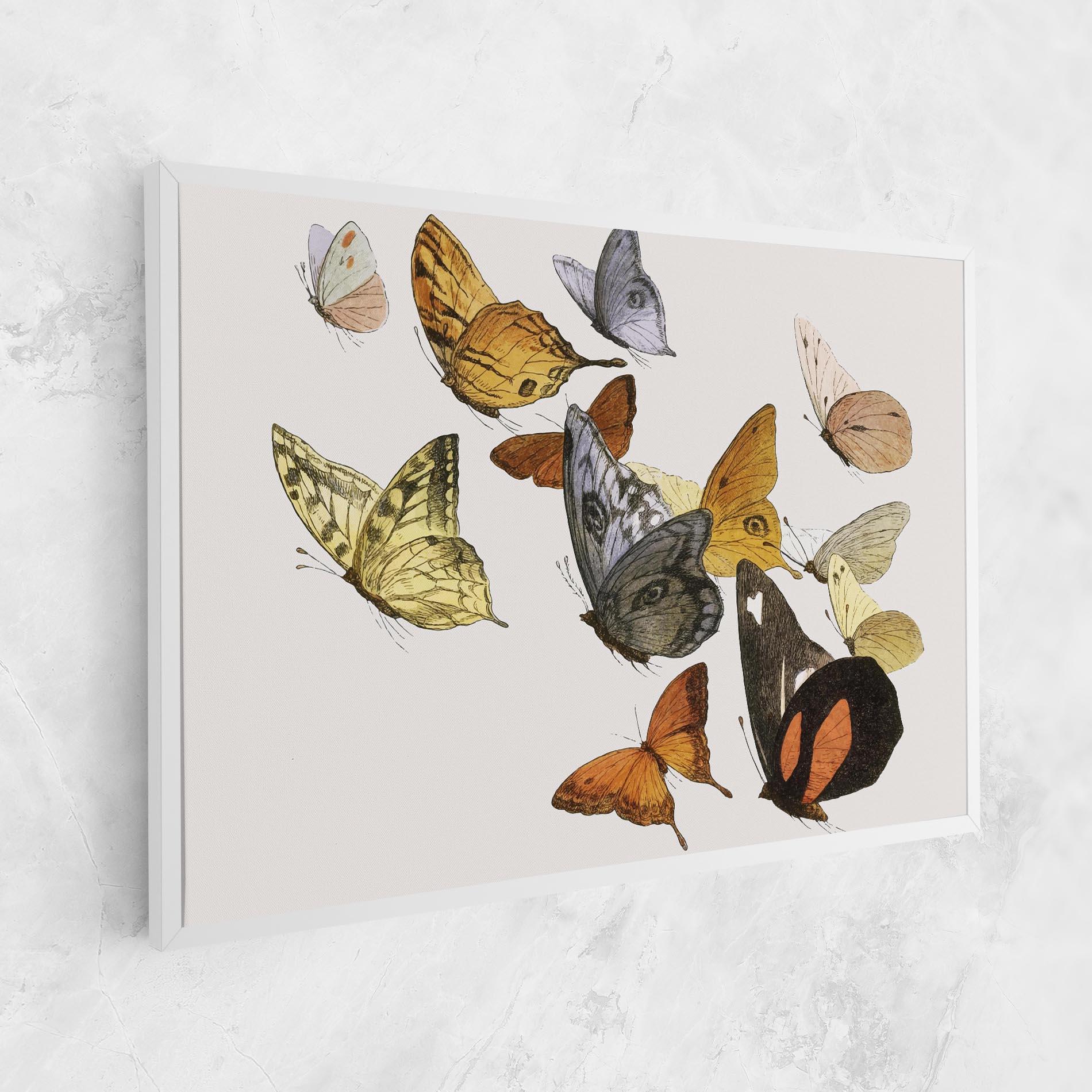 Leinwandbild Butterfly Floating mockup 1