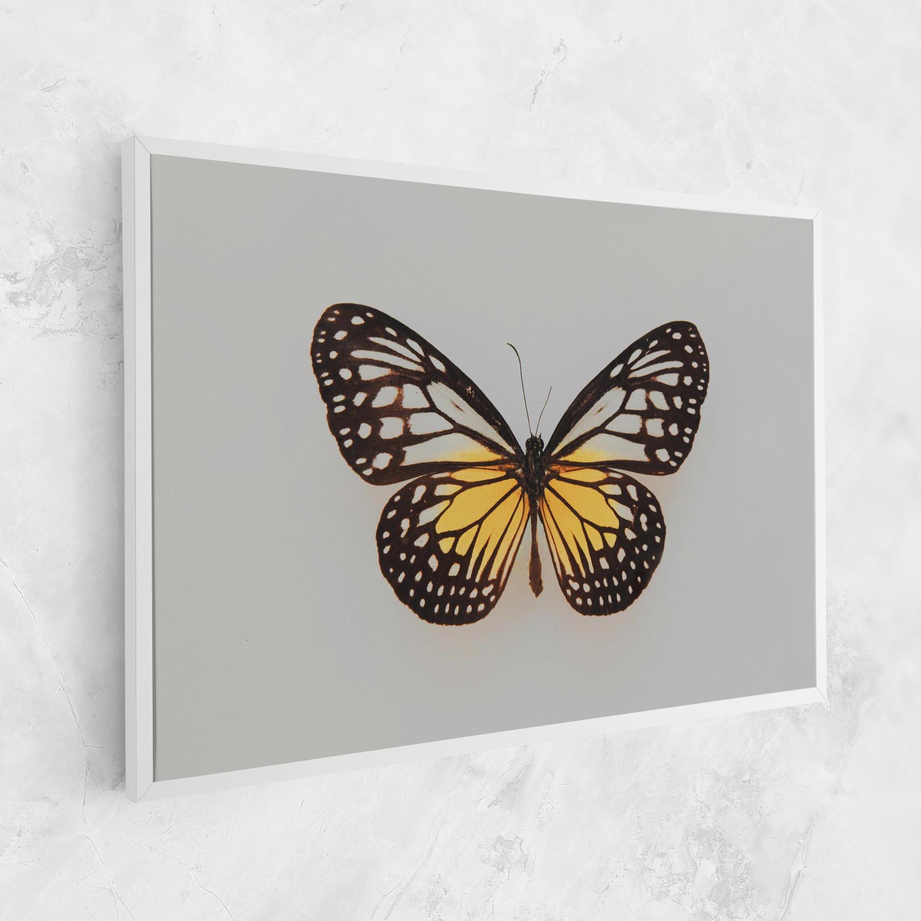 Leinwandbild Butterfly On Grey mockup 1