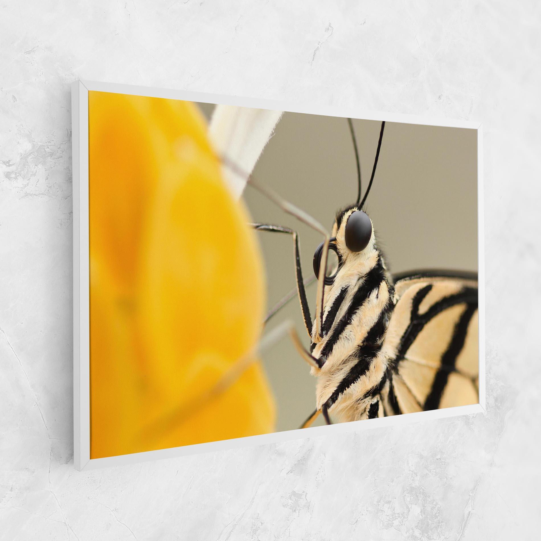Leinwandbild Close Up Cream Butterfly mockup 1