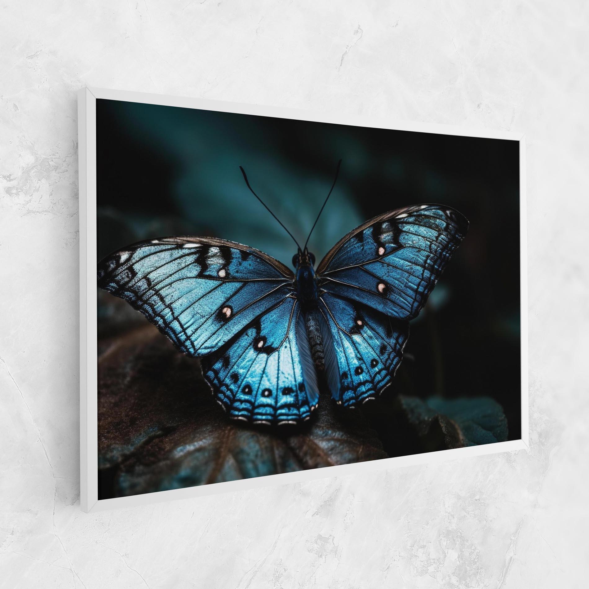 Leinwandbild Dark Blue Buterfly mockup 1
