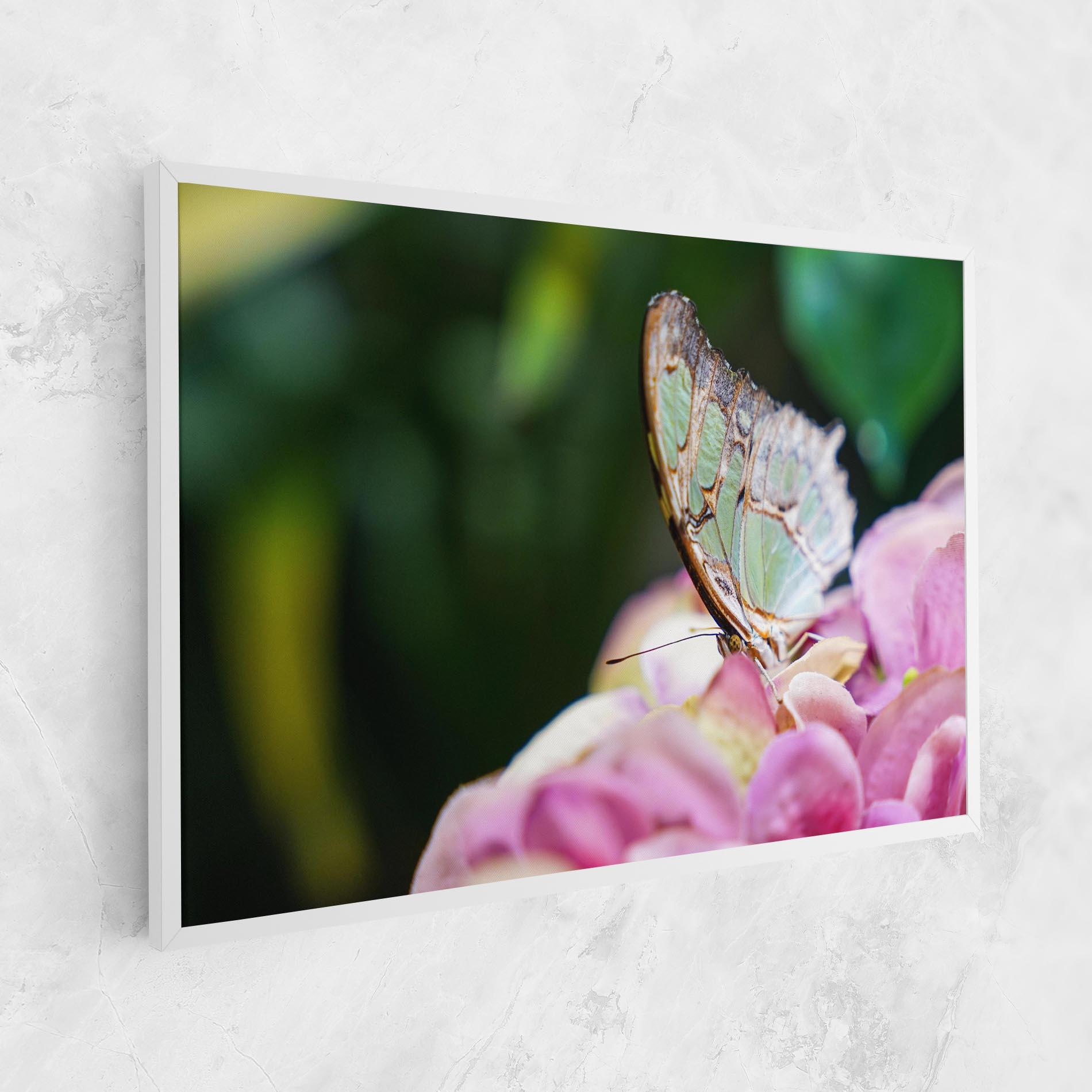 Leinwandbild Nazrin Babashova DiUUmQMFWys Unsplash mockup 1