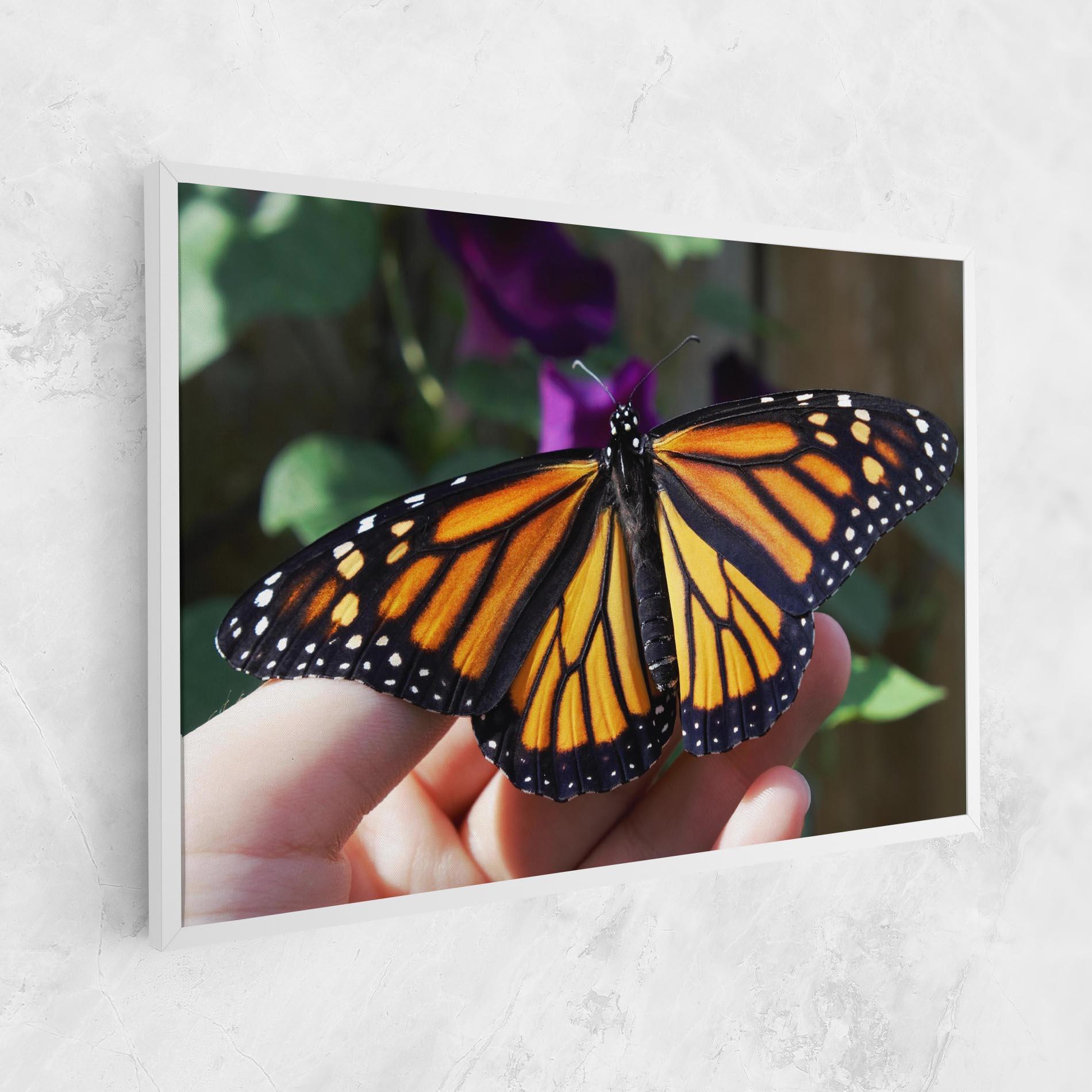 Leinwandbild Open Orange Butterfly mockup 1